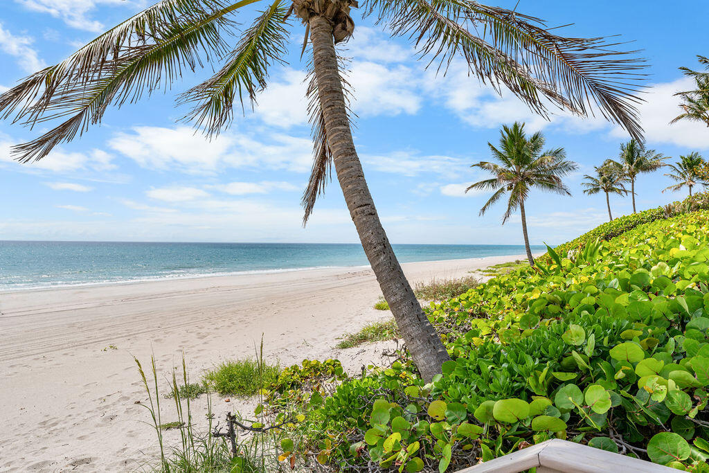 11958 Turtle Bch Rd North Palm Beach, FL 33408
