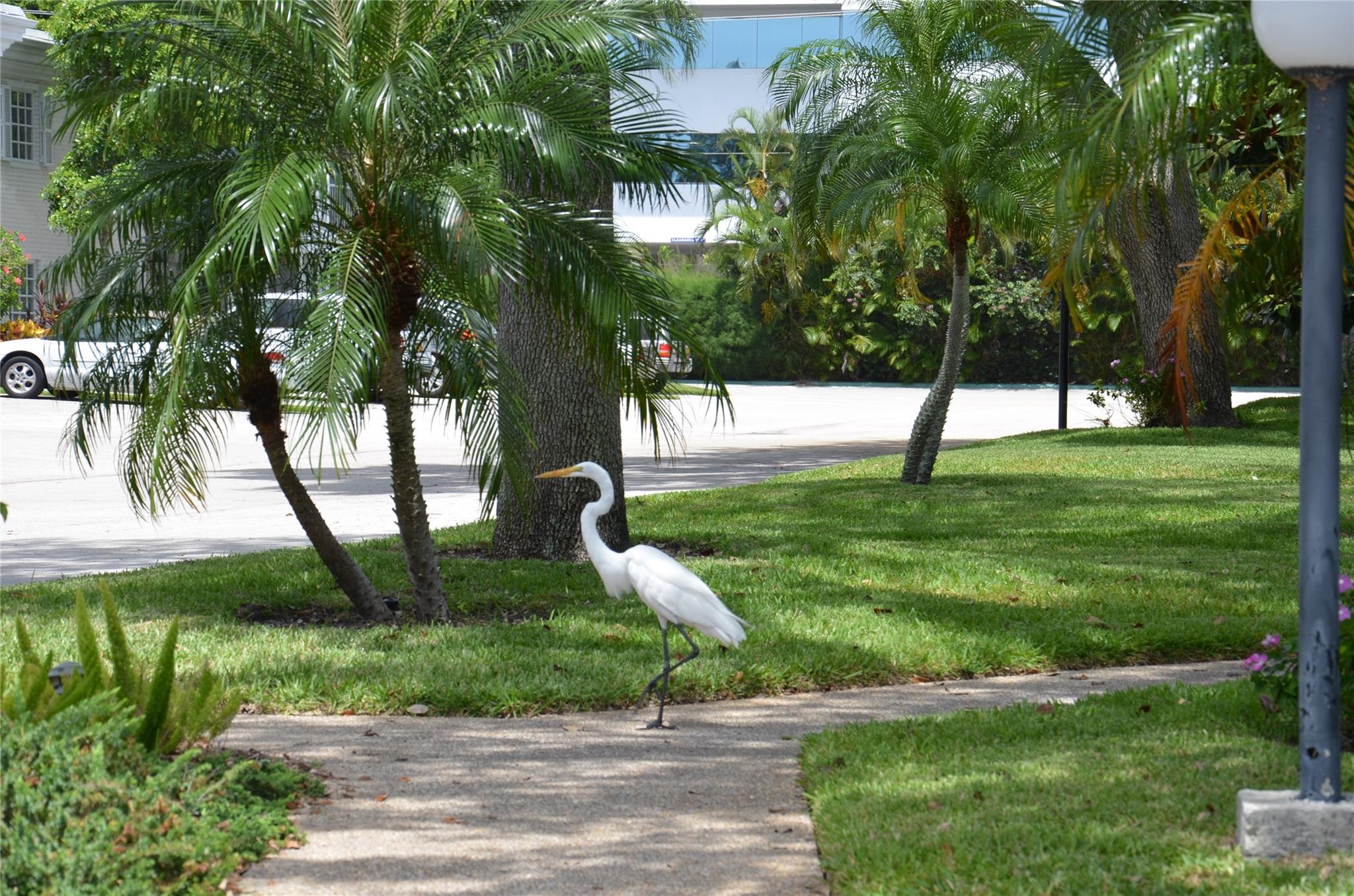 6201 Bay Clb Dr #4 Fort Lauderdale, FL 33308