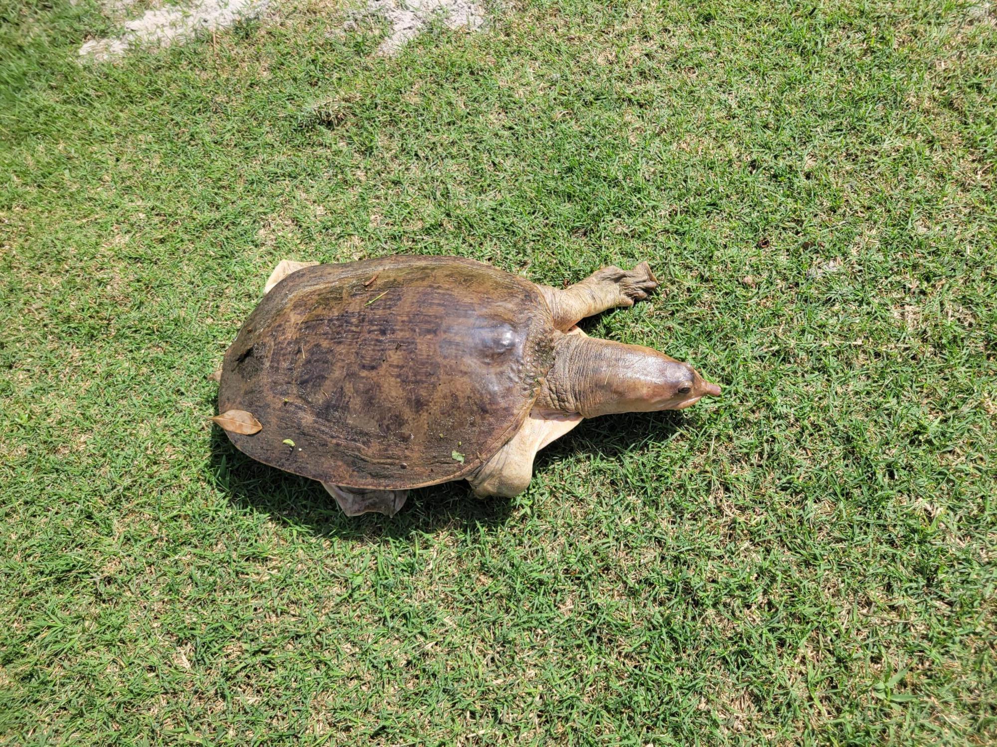 9259 SE Riverfront Ter #L Jupiter, FL 33469