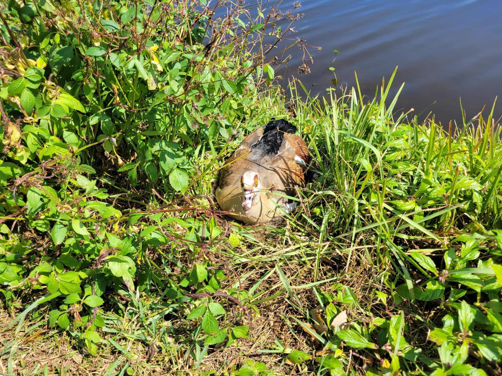 9259 SE Riverfront Ter #L Jupiter, FL 33469