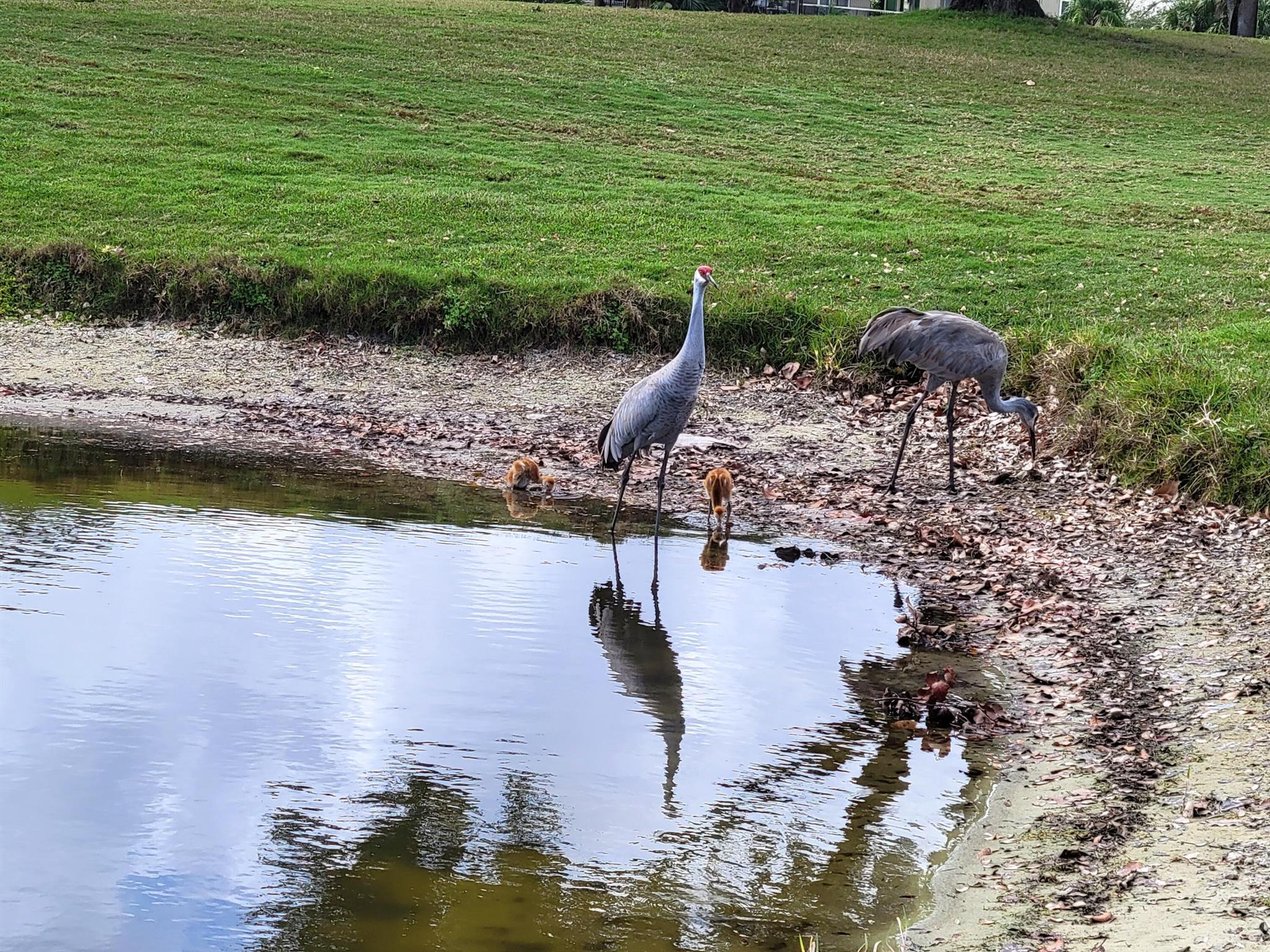 9259 SE Riverfront Ter #L Jupiter, FL 33469