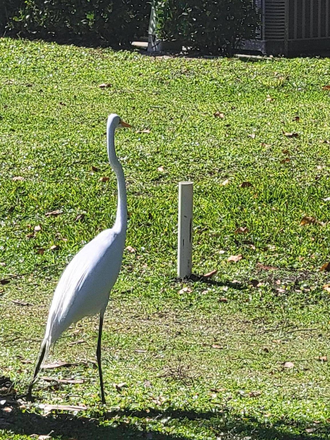 9259 SE Riverfront Ter #L Jupiter, FL 33469