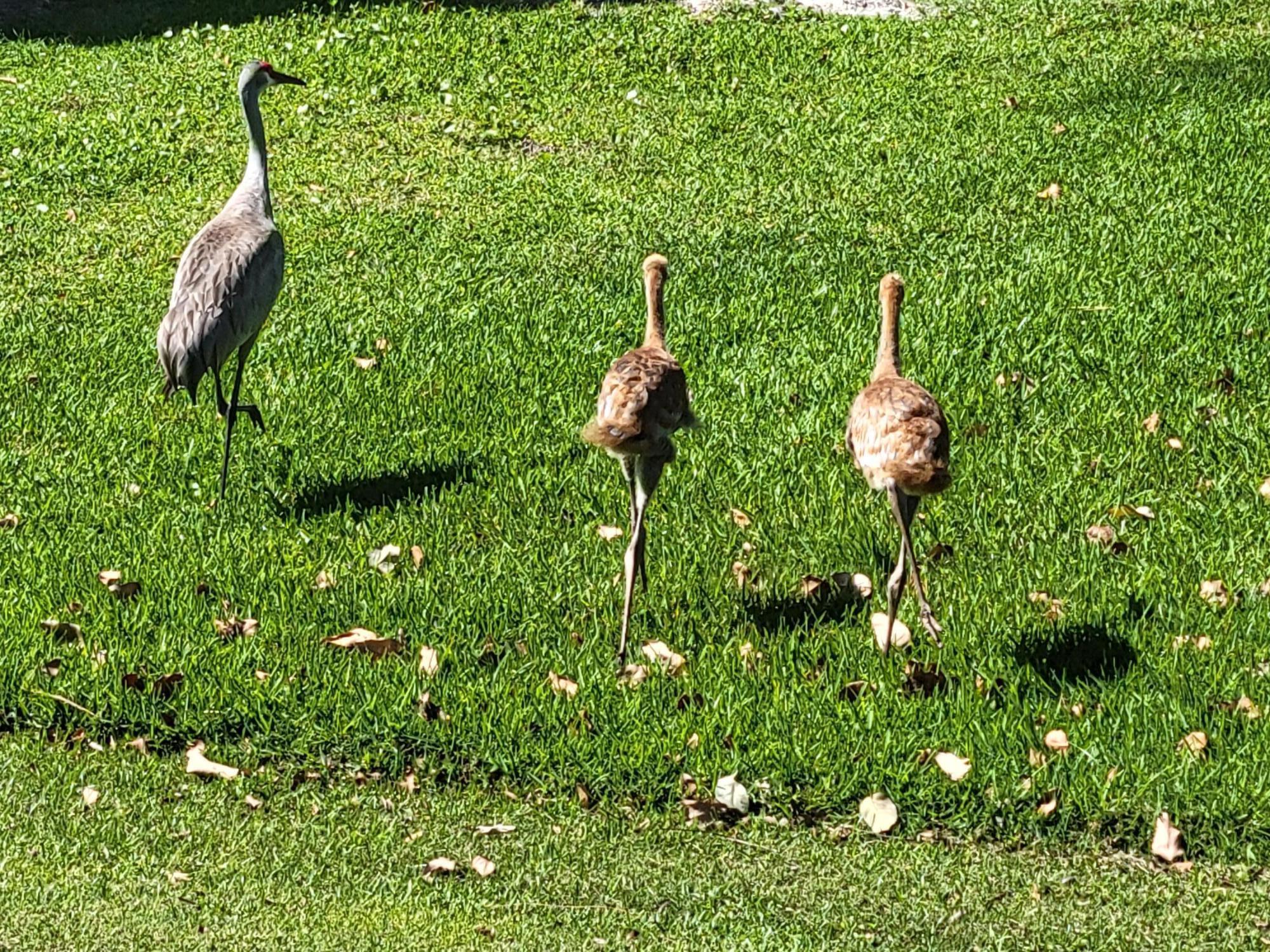 9259 SE Riverfront Ter #L Jupiter, FL 33469