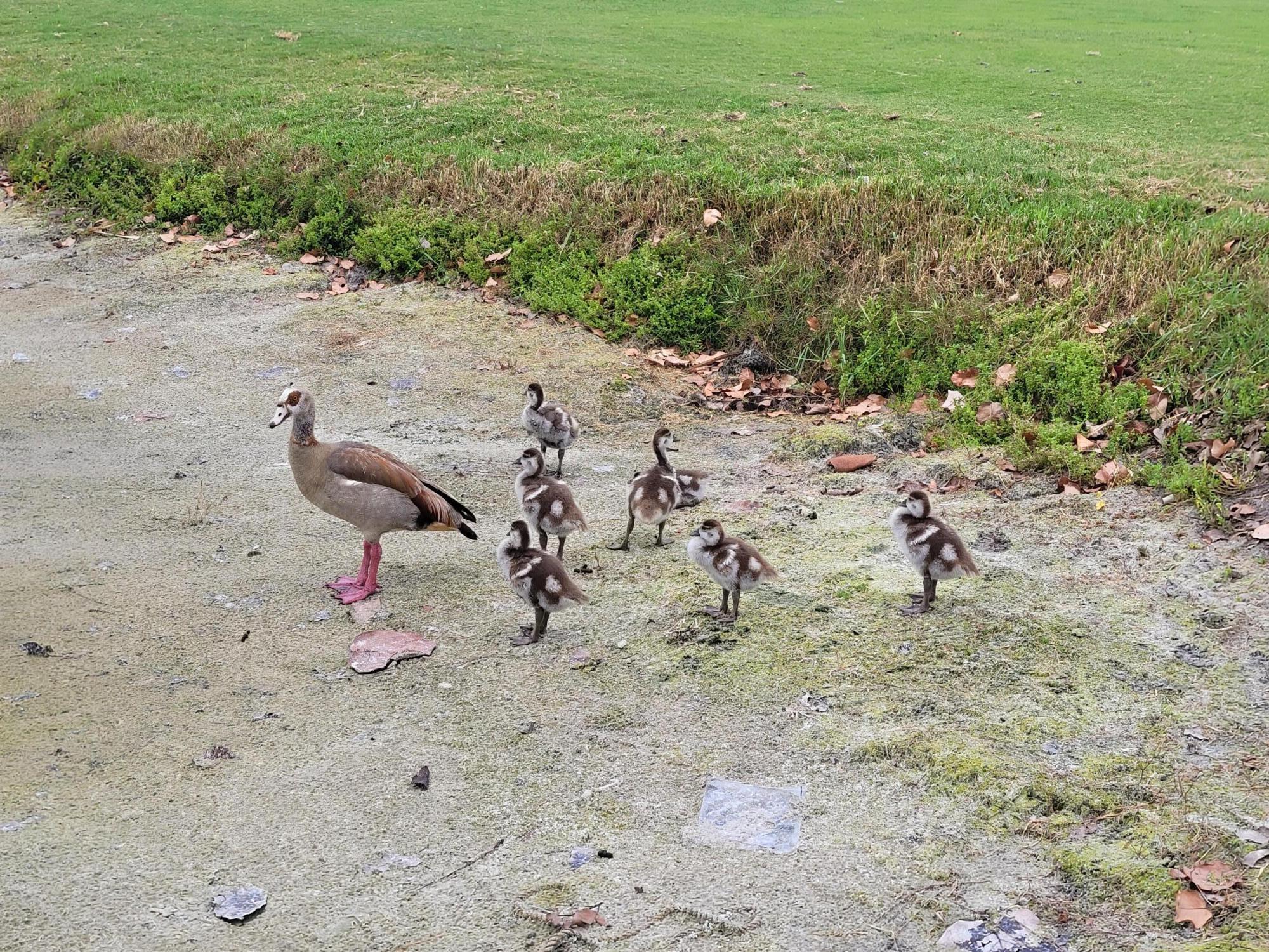 9259 SE Riverfront Ter #L Jupiter, FL 33469