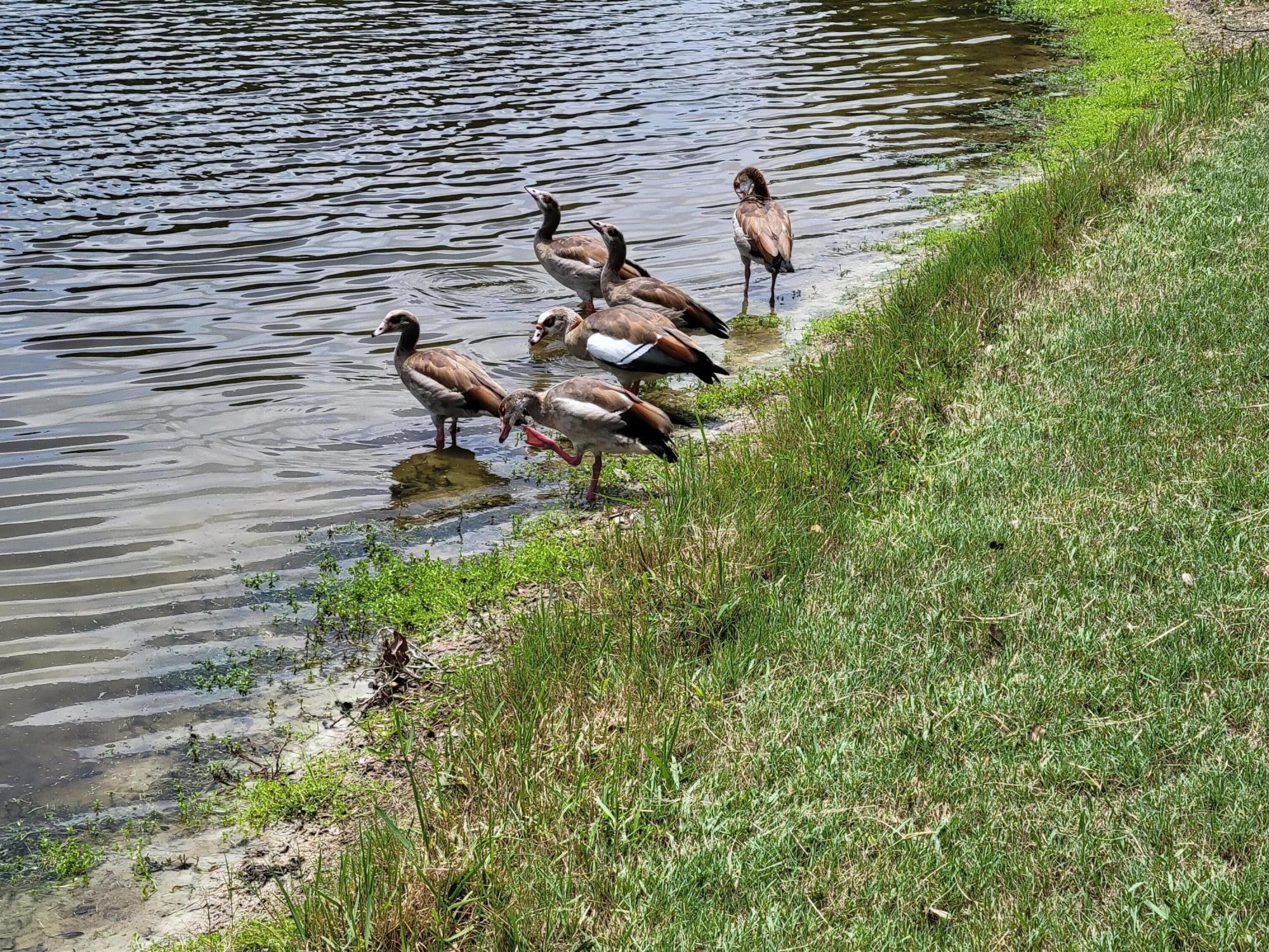 9259 SE Riverfront Ter #L Jupiter, FL 33469