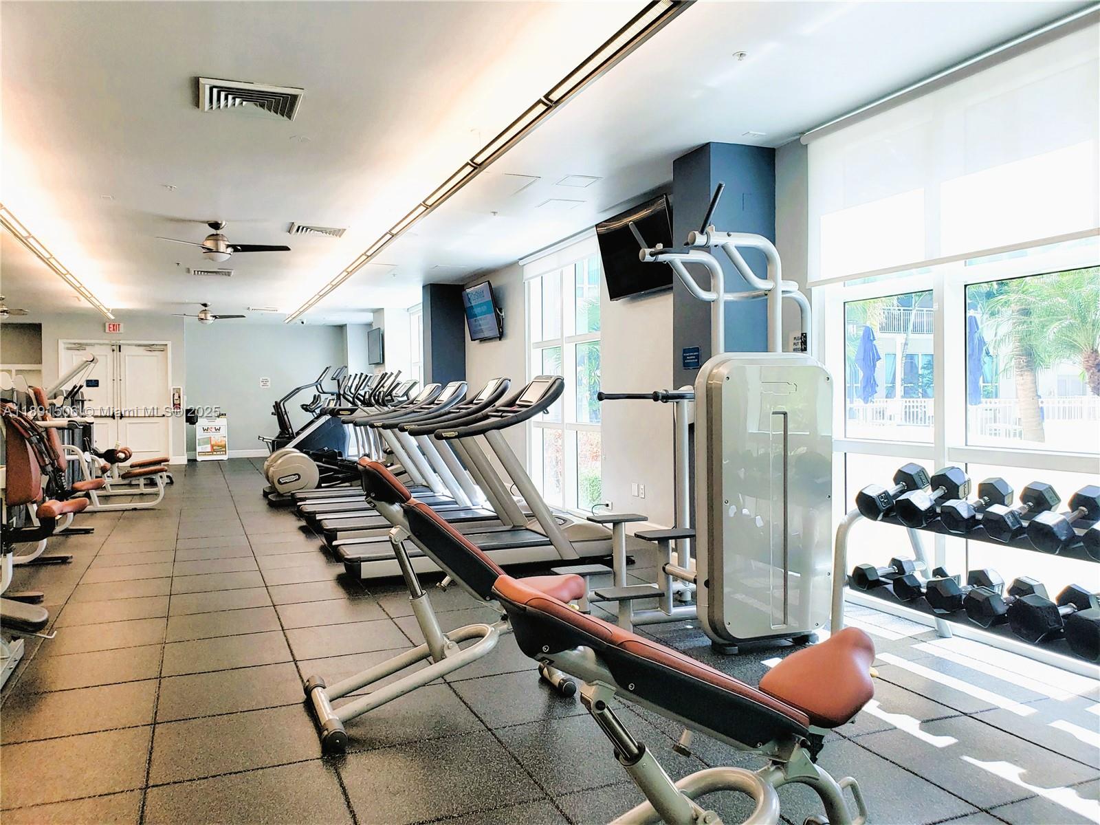 image Cite On The Bay45