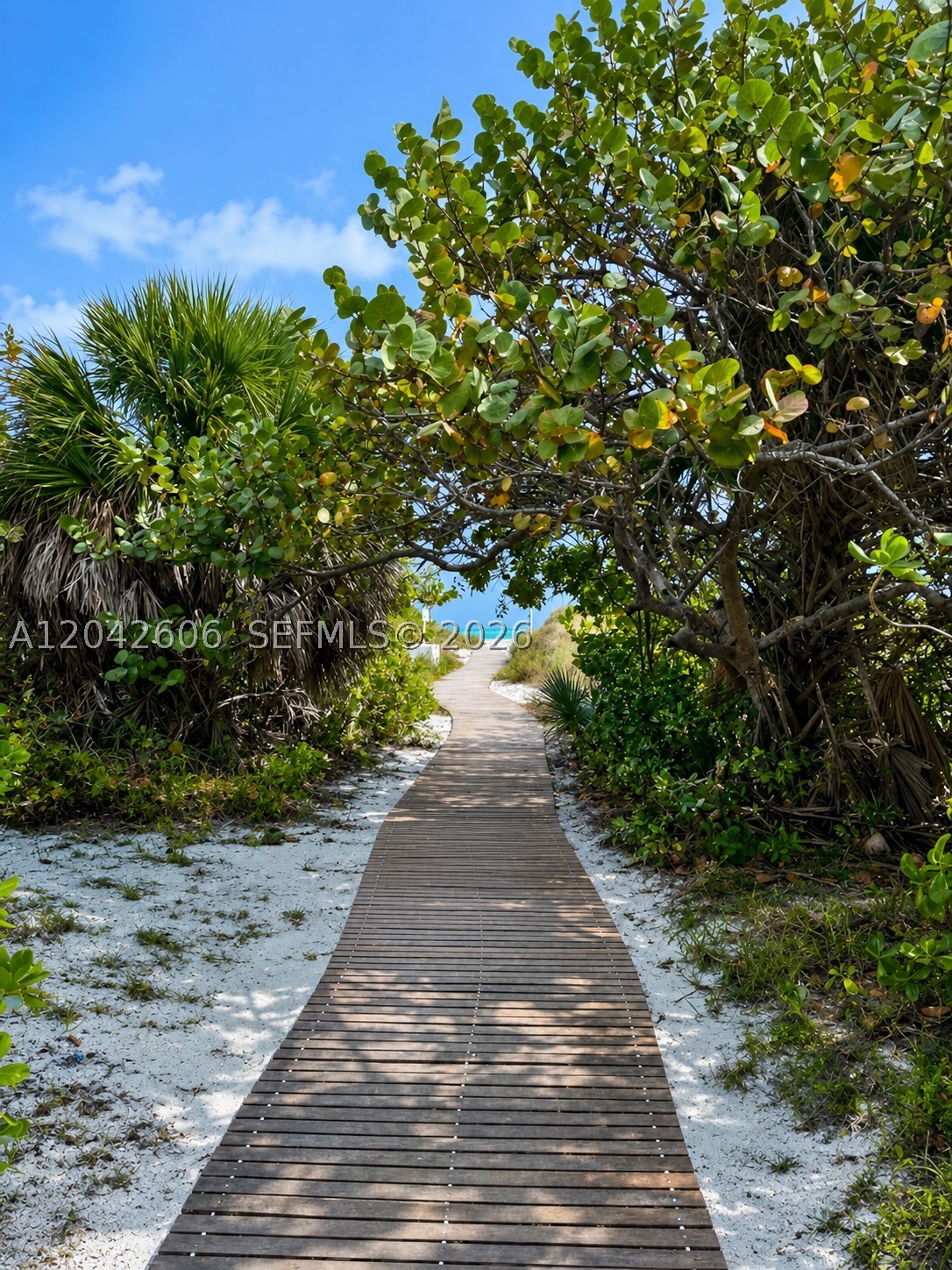177 Ocean Ln Dr #213 Key Biscayne, FL 33149