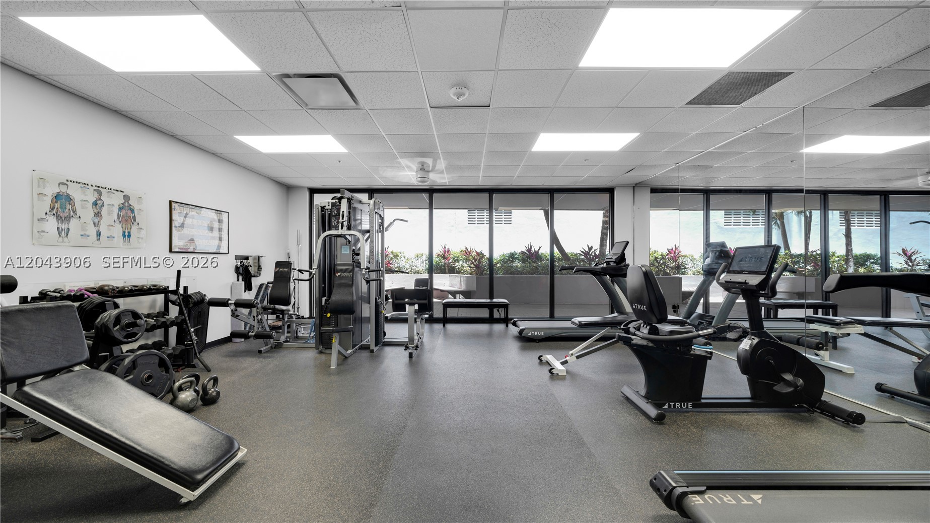 1623 Collins Ave #415 Miami Beach, FL 33139