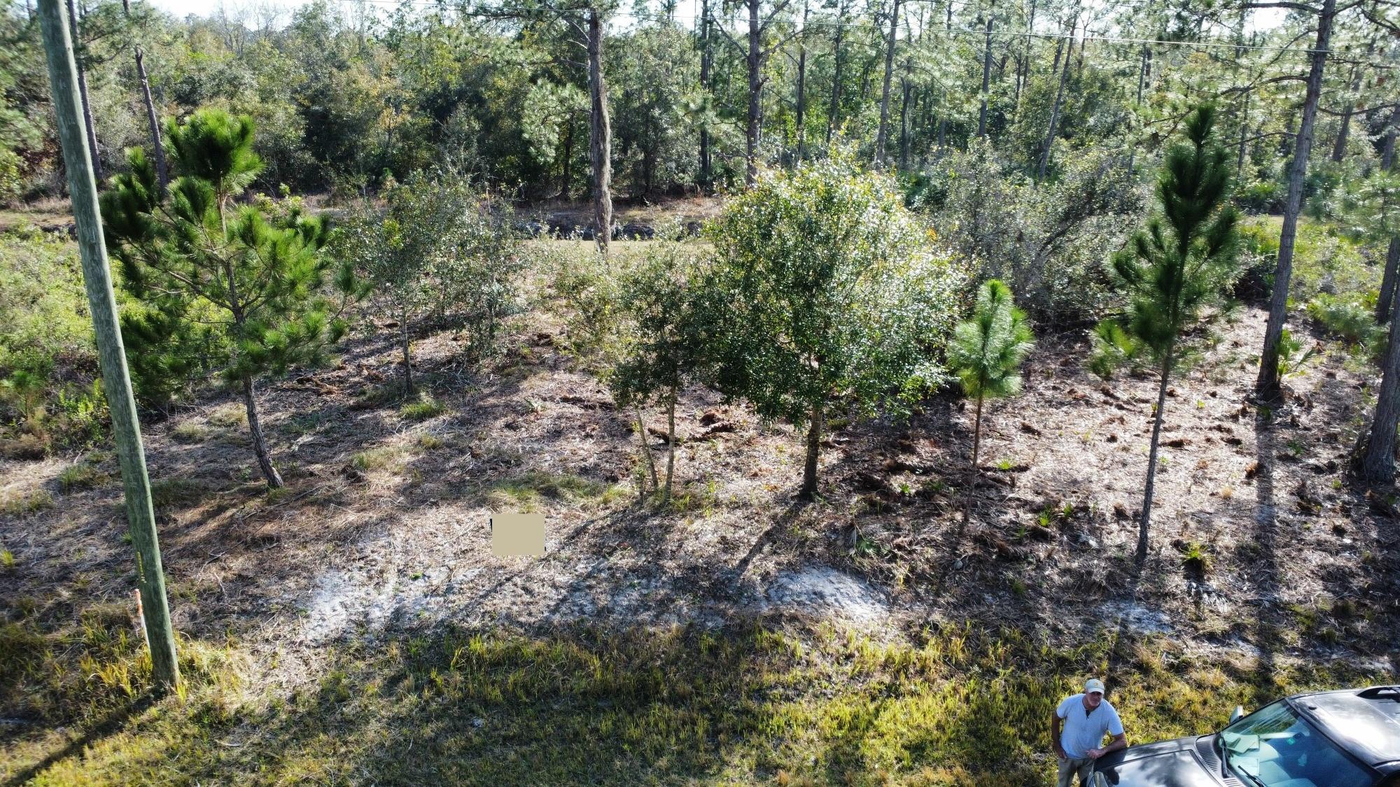 8356 Mantua Dr,Sebring, FL 33872