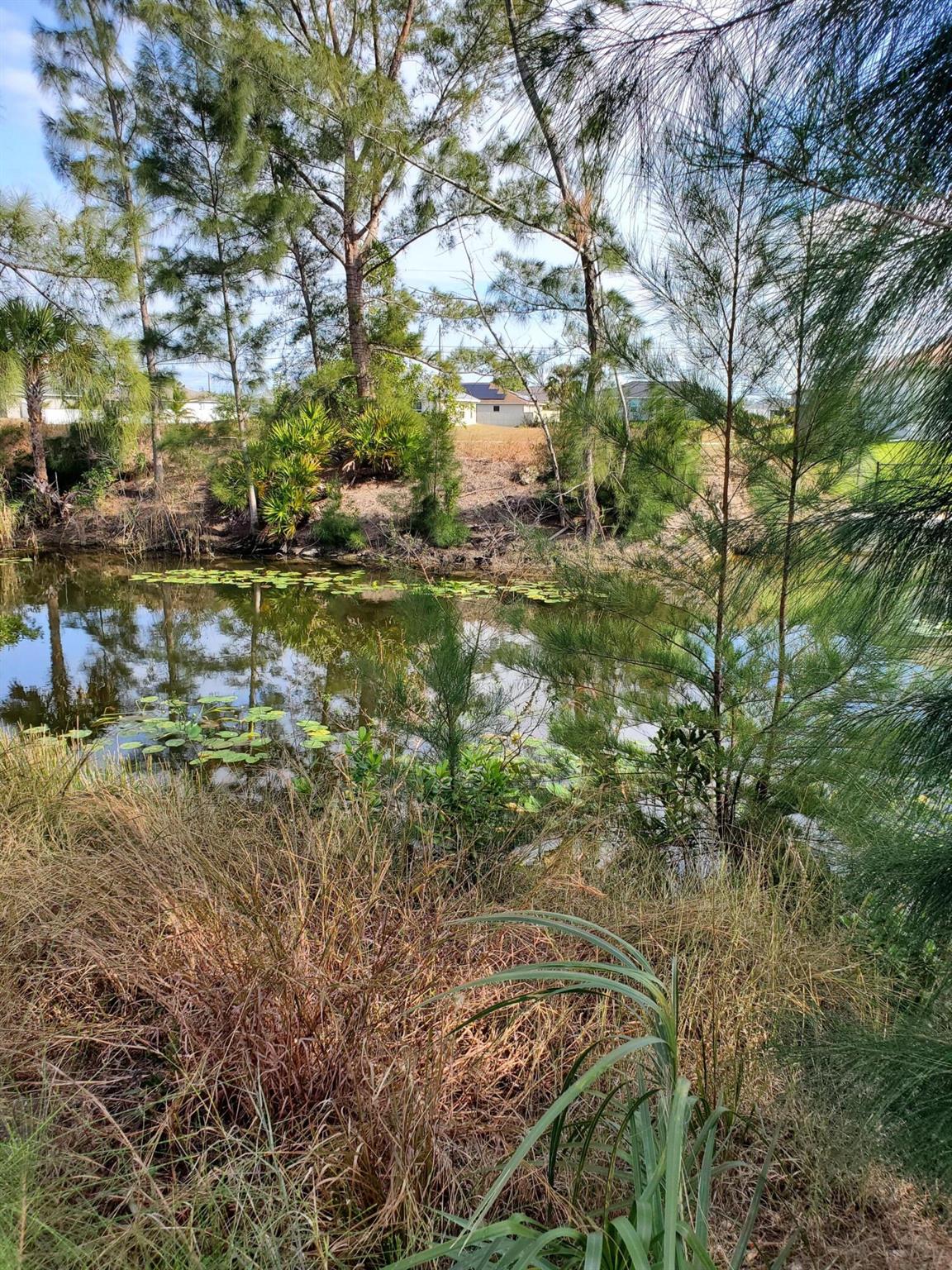 3905 NE 9th Ave,Cape Coral, FL 33909
