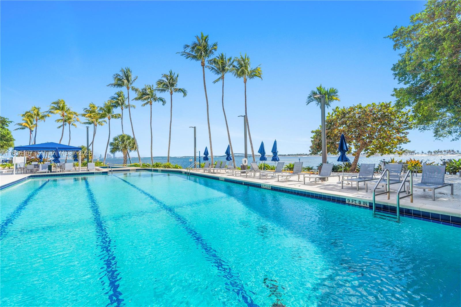 image Brickell Bay Club25