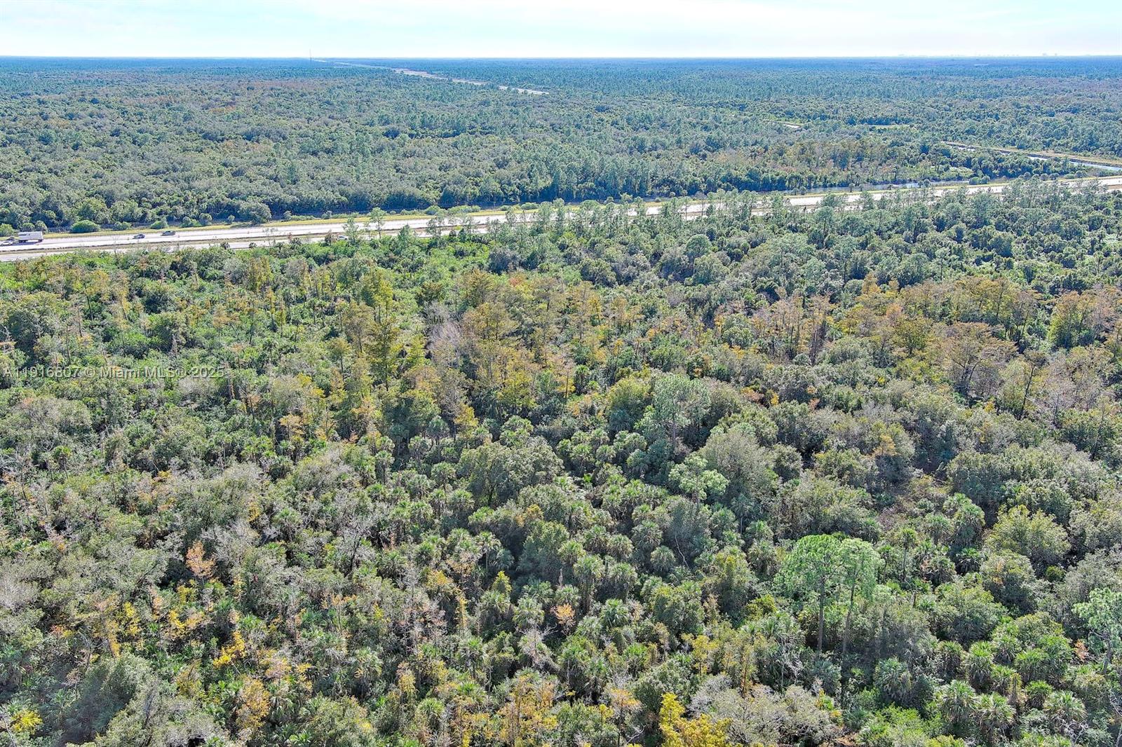 Alligator Aly Naples, FL 34117