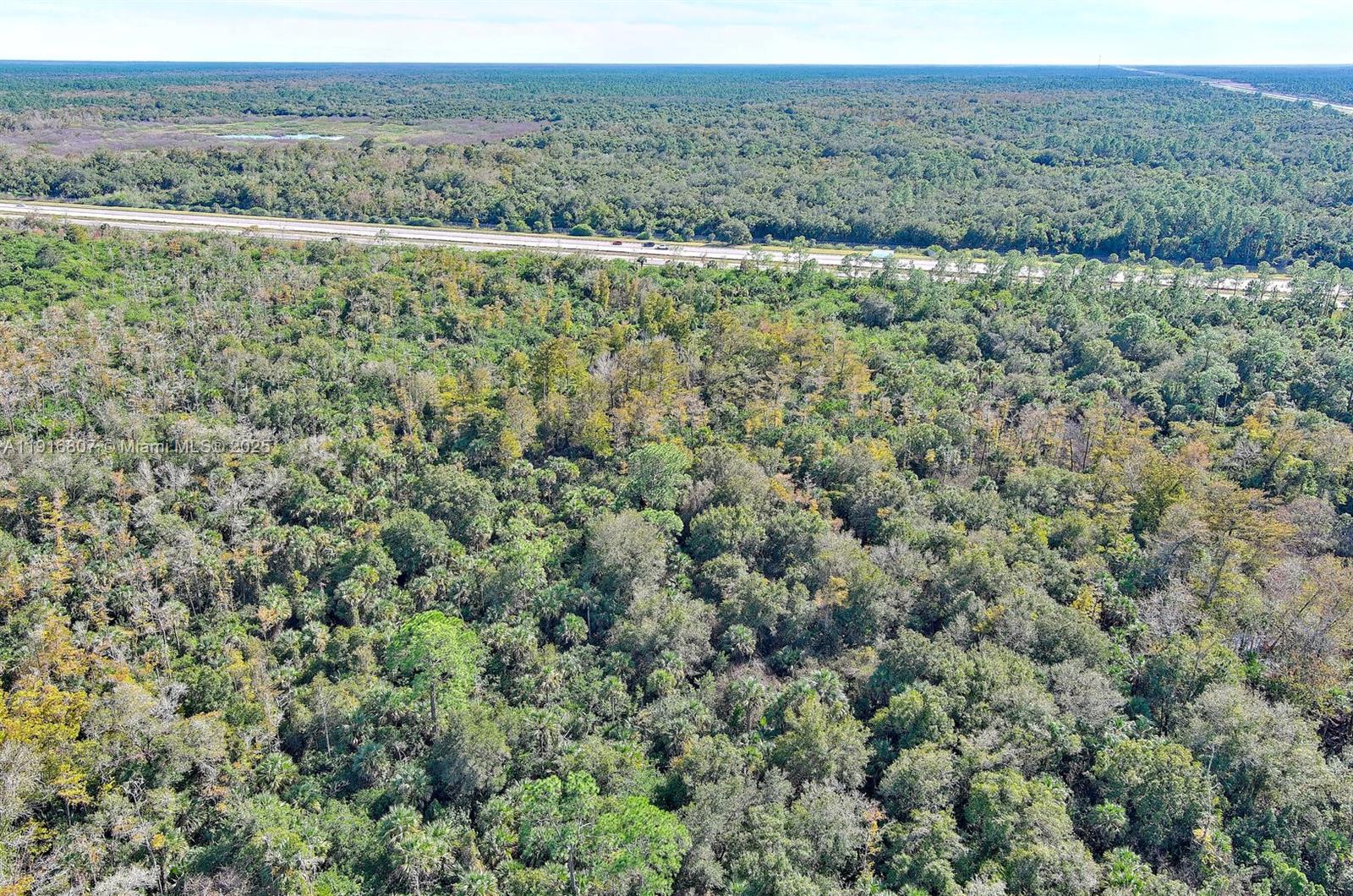 Alligator Aly Naples, FL 34117