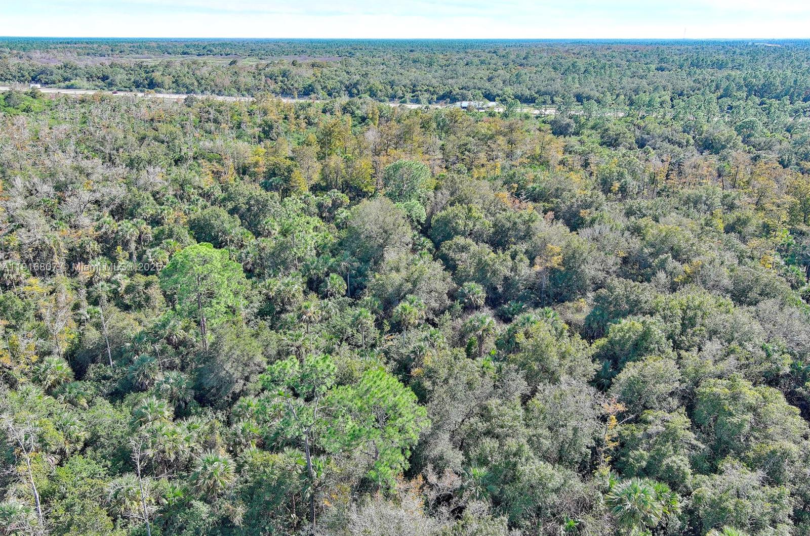 Alligator Aly Naples, FL 34117