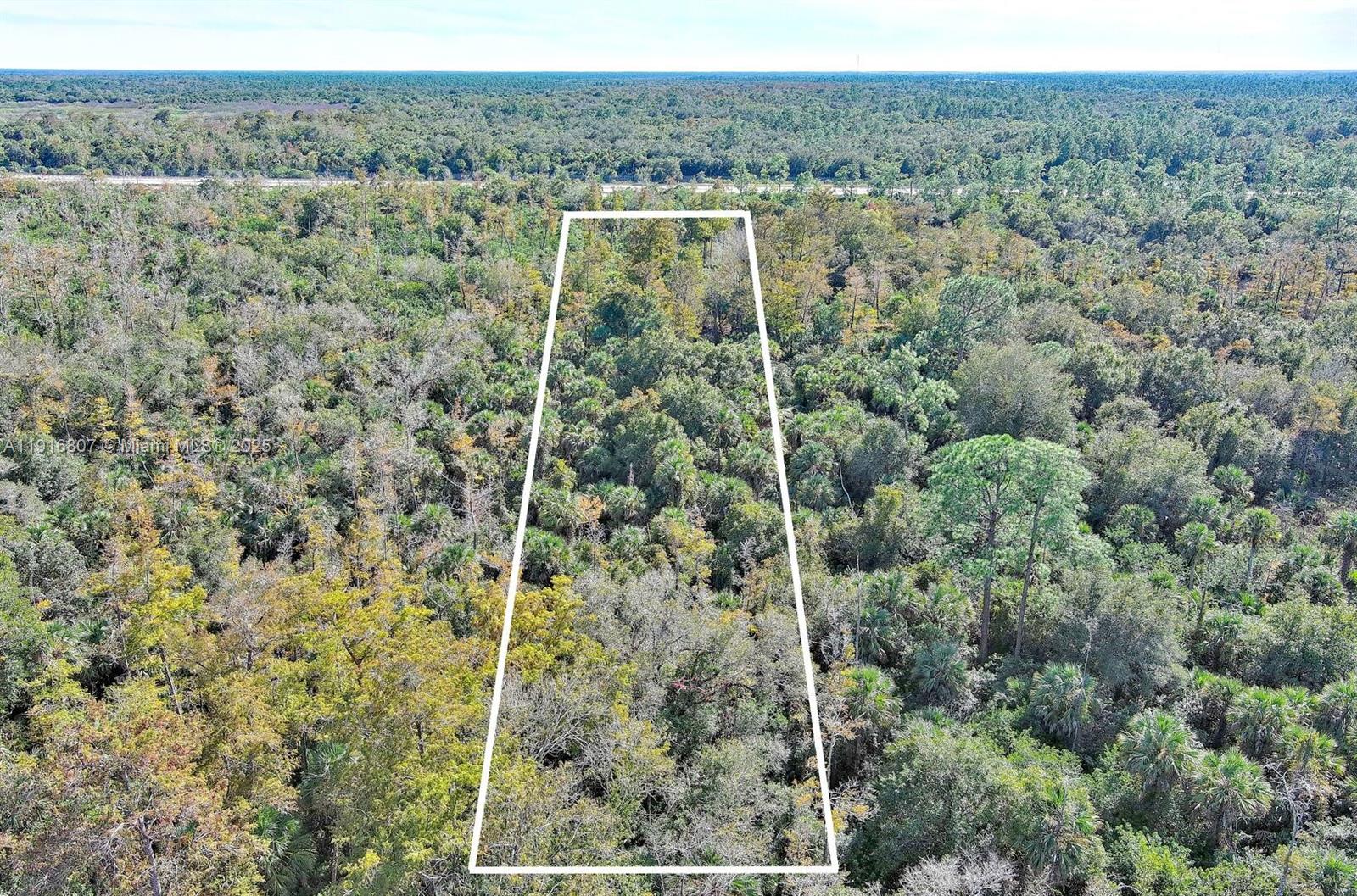 Alligator Aly Naples, FL 34117