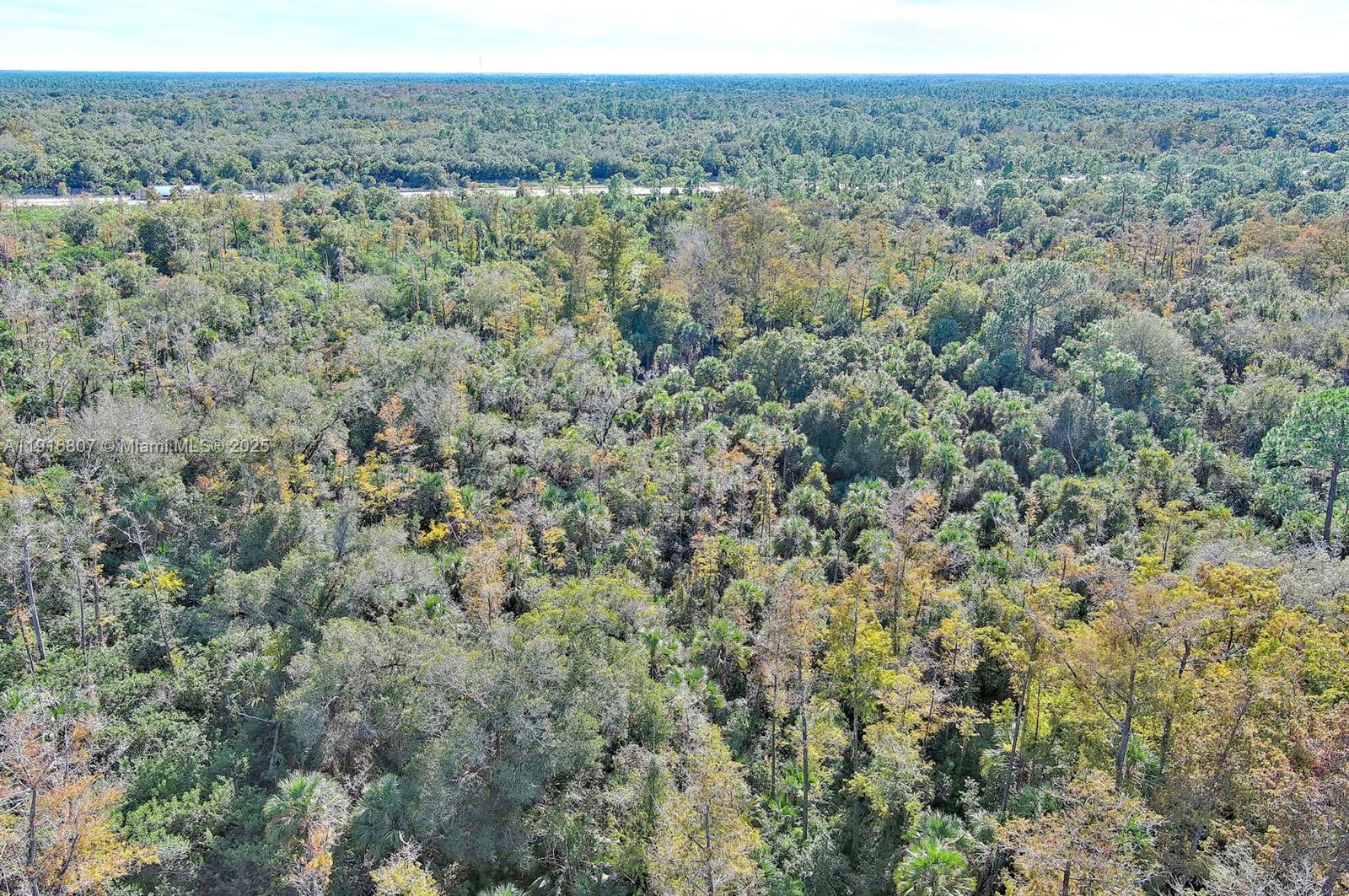 Alligator Aly Naples, FL 34117