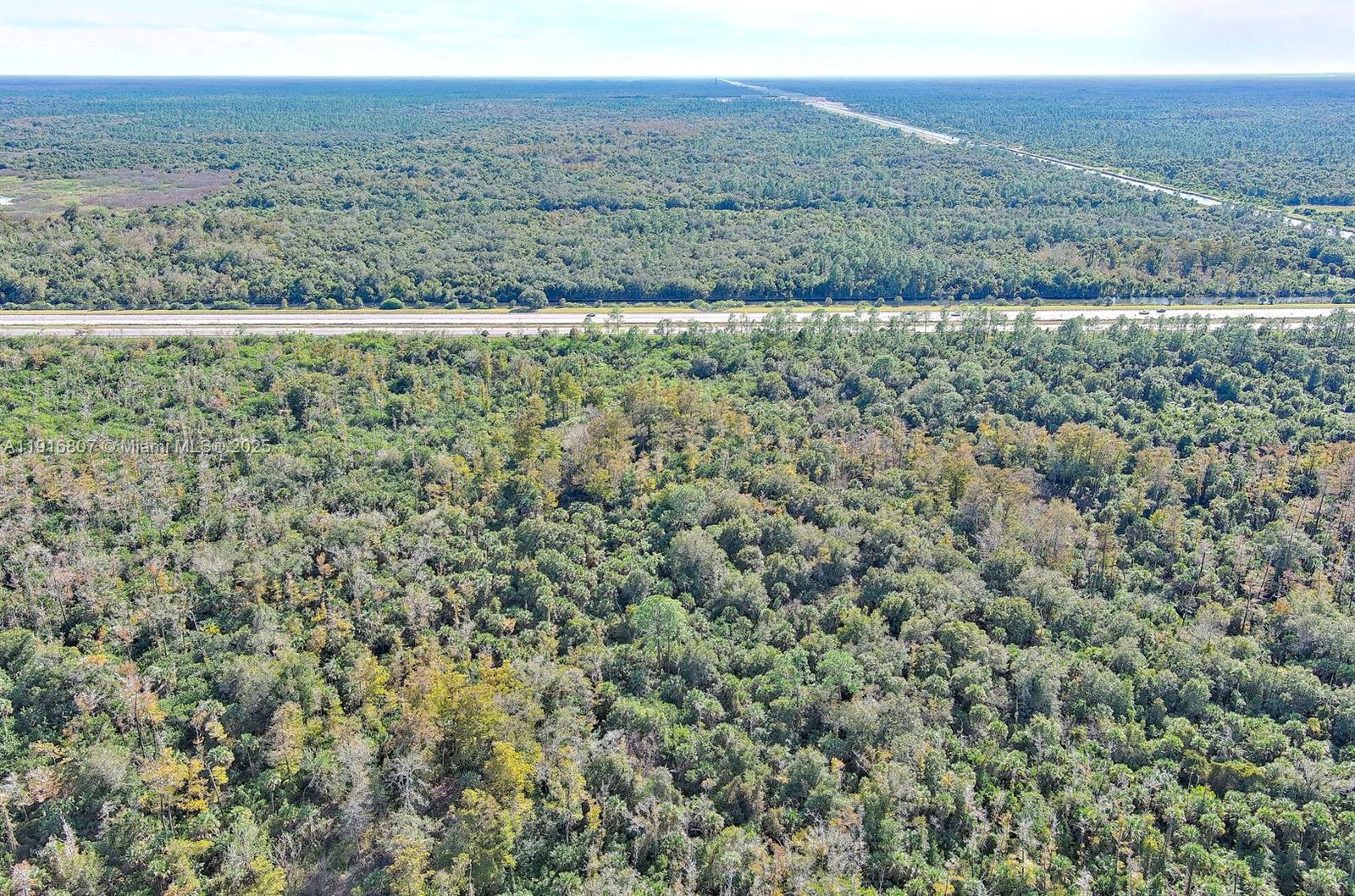 Alligator Aly Naples, FL 34117