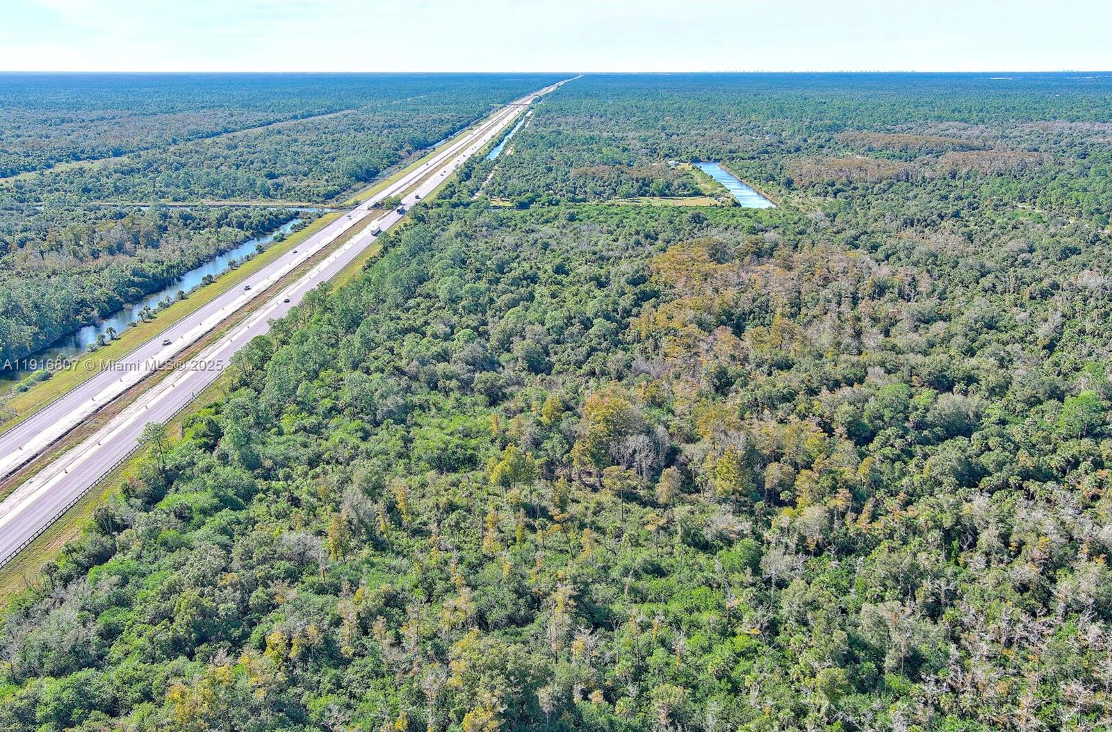 Alligator Aly Naples, FL 34117