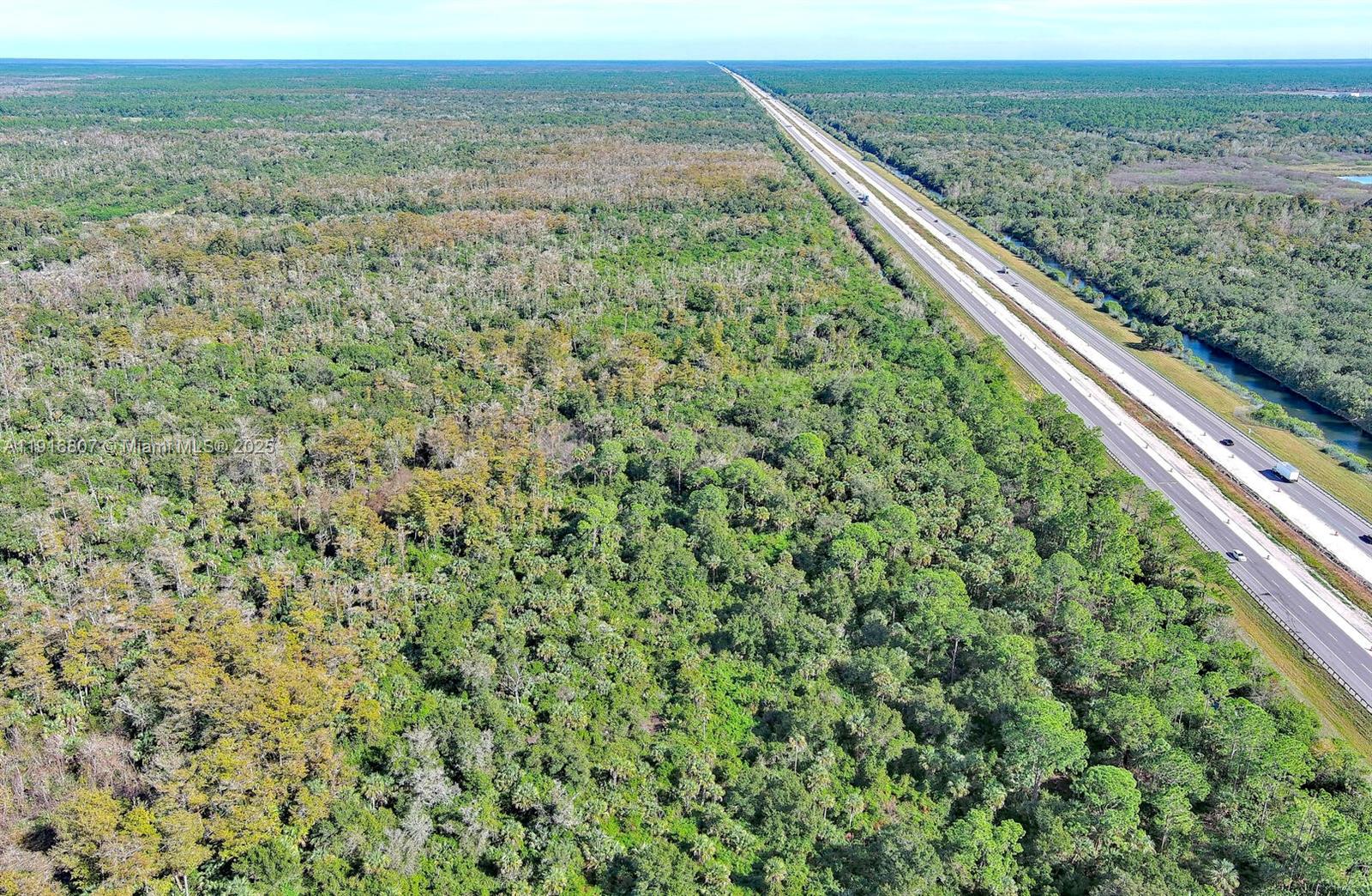 Alligator Aly Naples, FL 34117