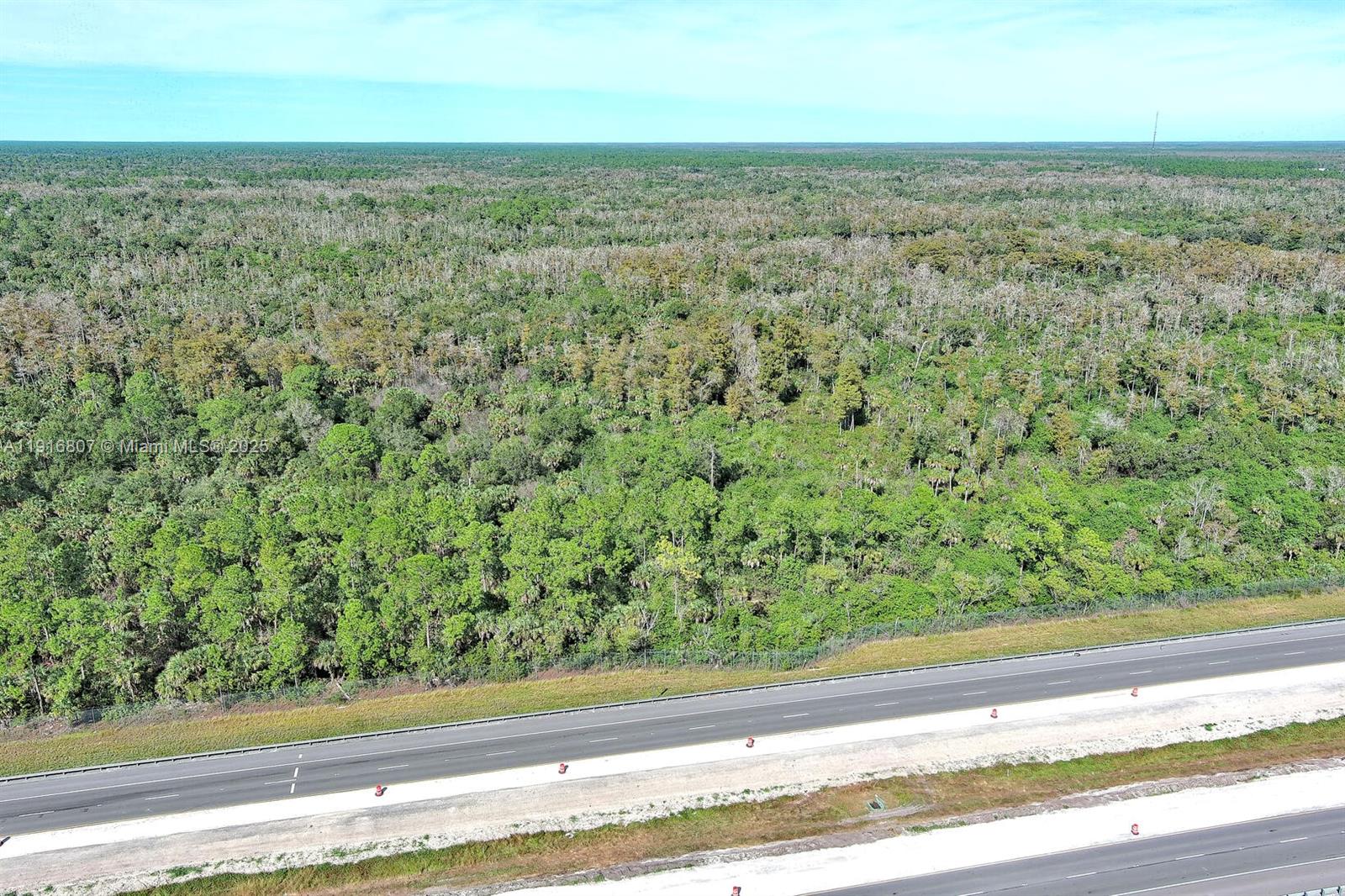 Alligator Aly Naples, FL 34117