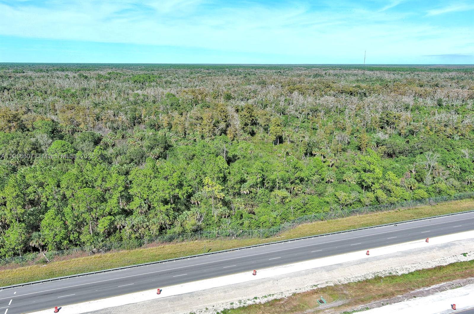 Alligator Aly Naples, FL 34117