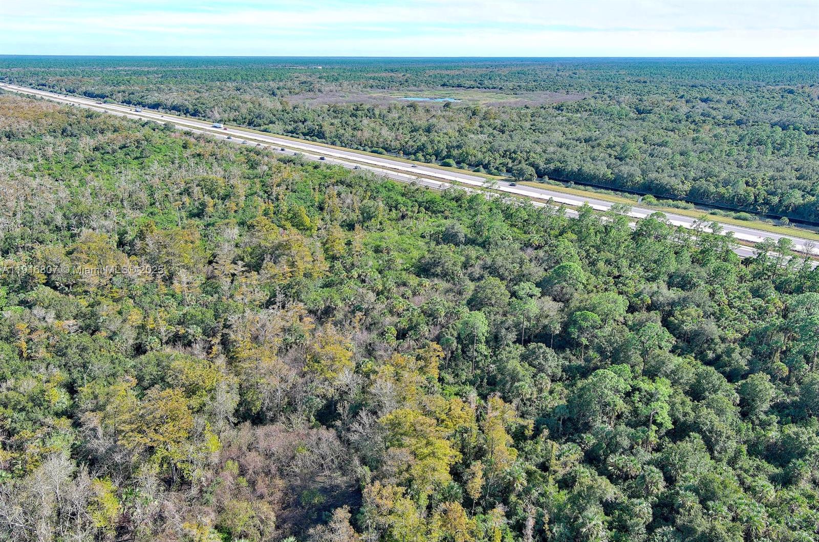 Alligator Aly Naples, FL 34117