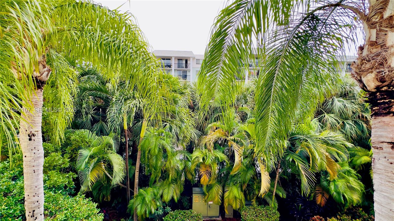 image Porto Bellagio33