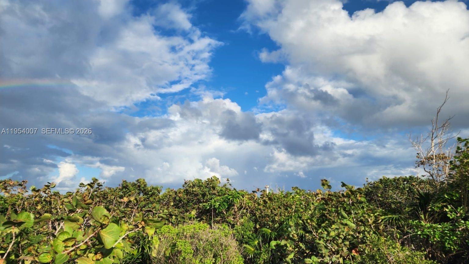 00 Galina, St Mary, Jamaica