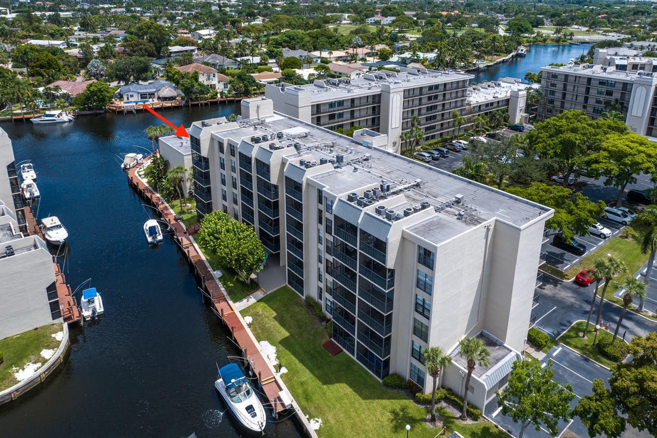 17 Royal Palm #6060