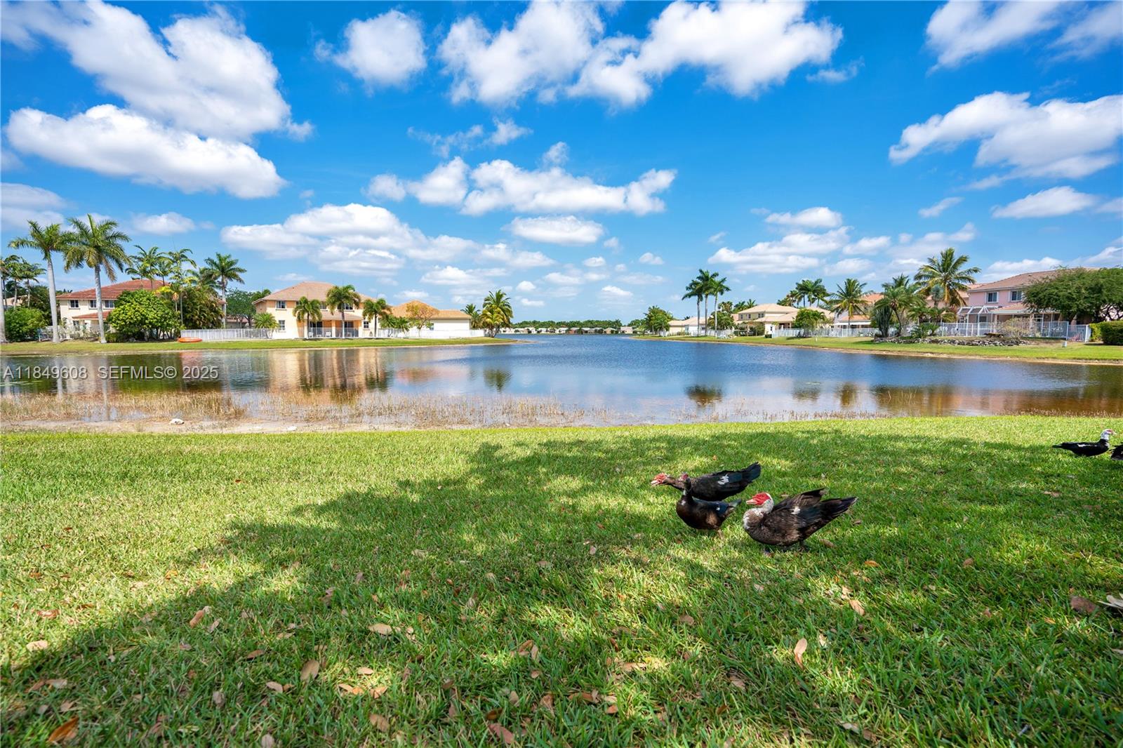 1570 Elm Grv Rd Weston, FL 33327