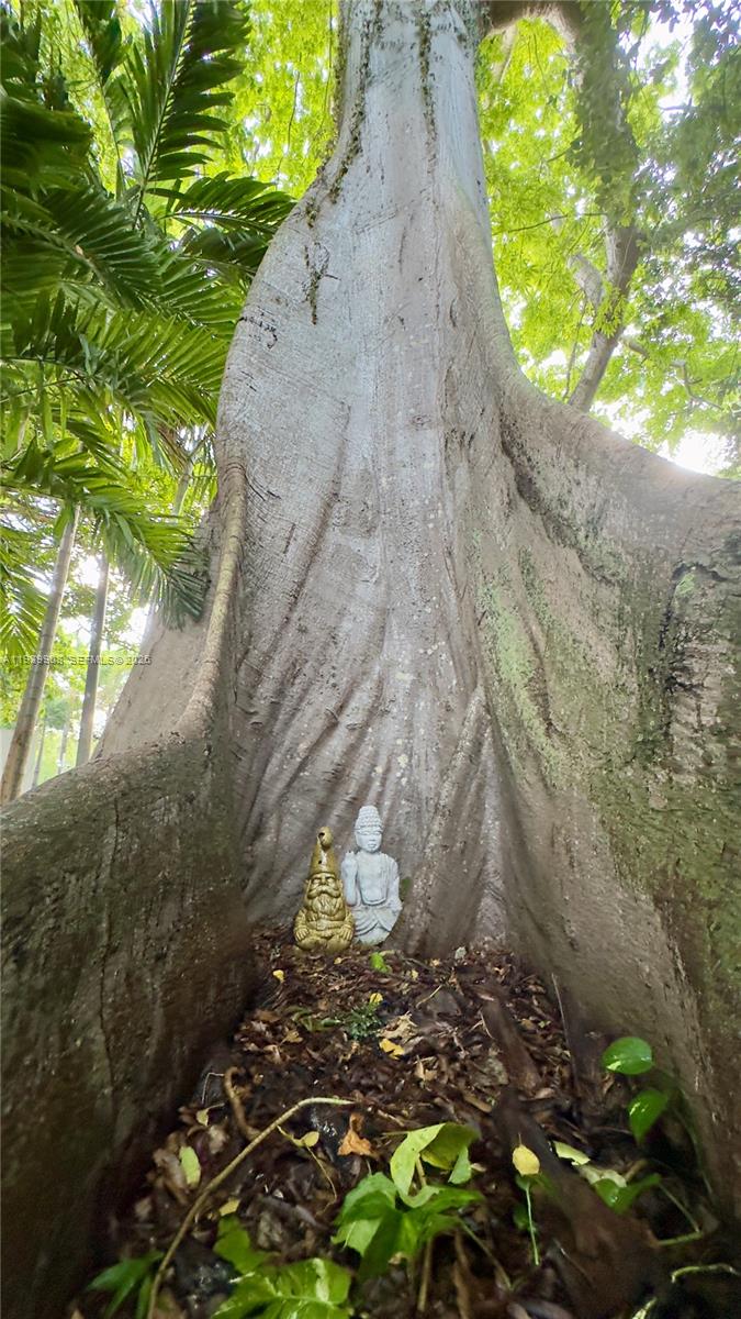 770 NE 69th St #6F Miami, FL 33138