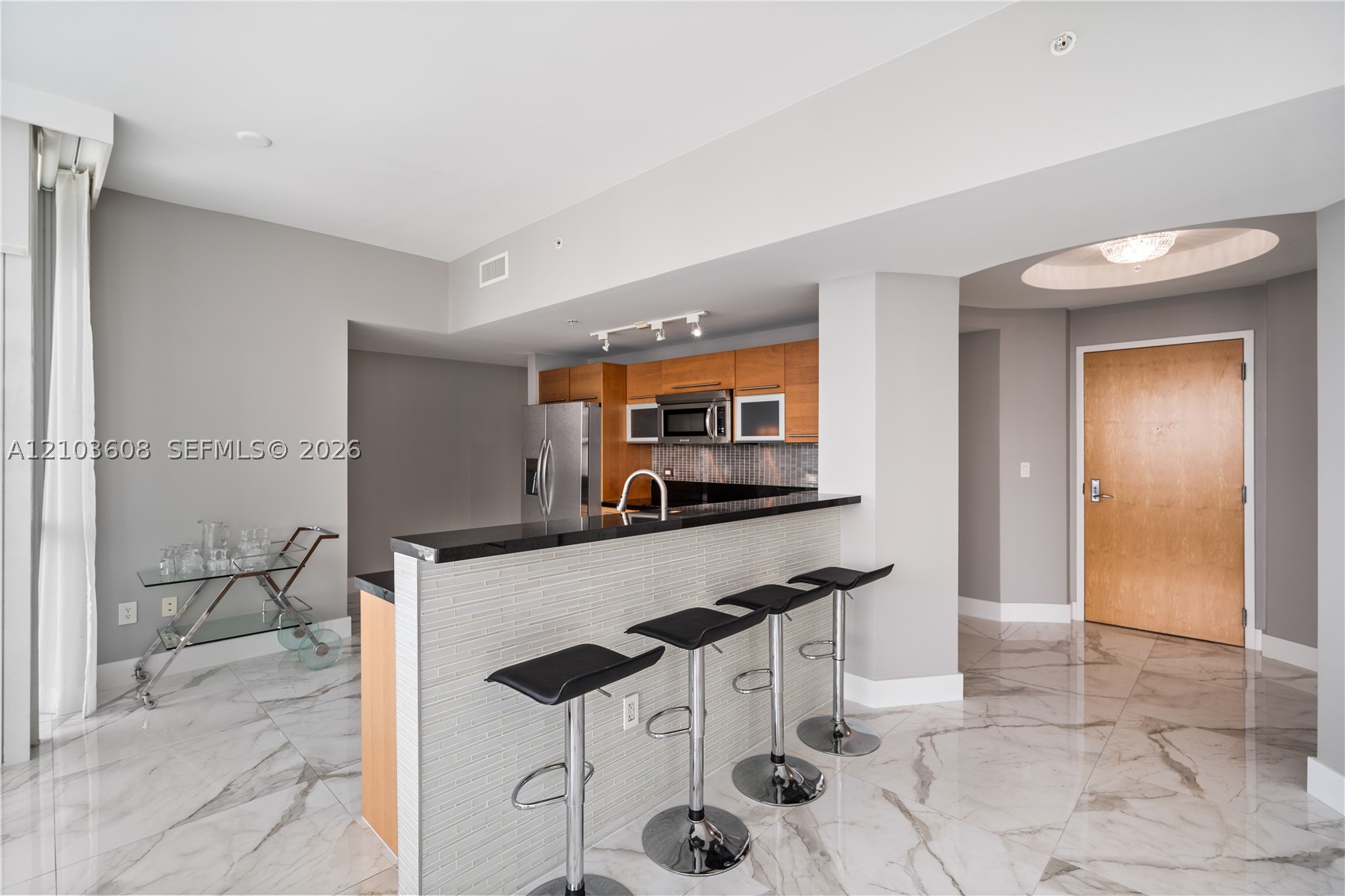 244 Biscayne Blvd #4308 Miami, FL 33132