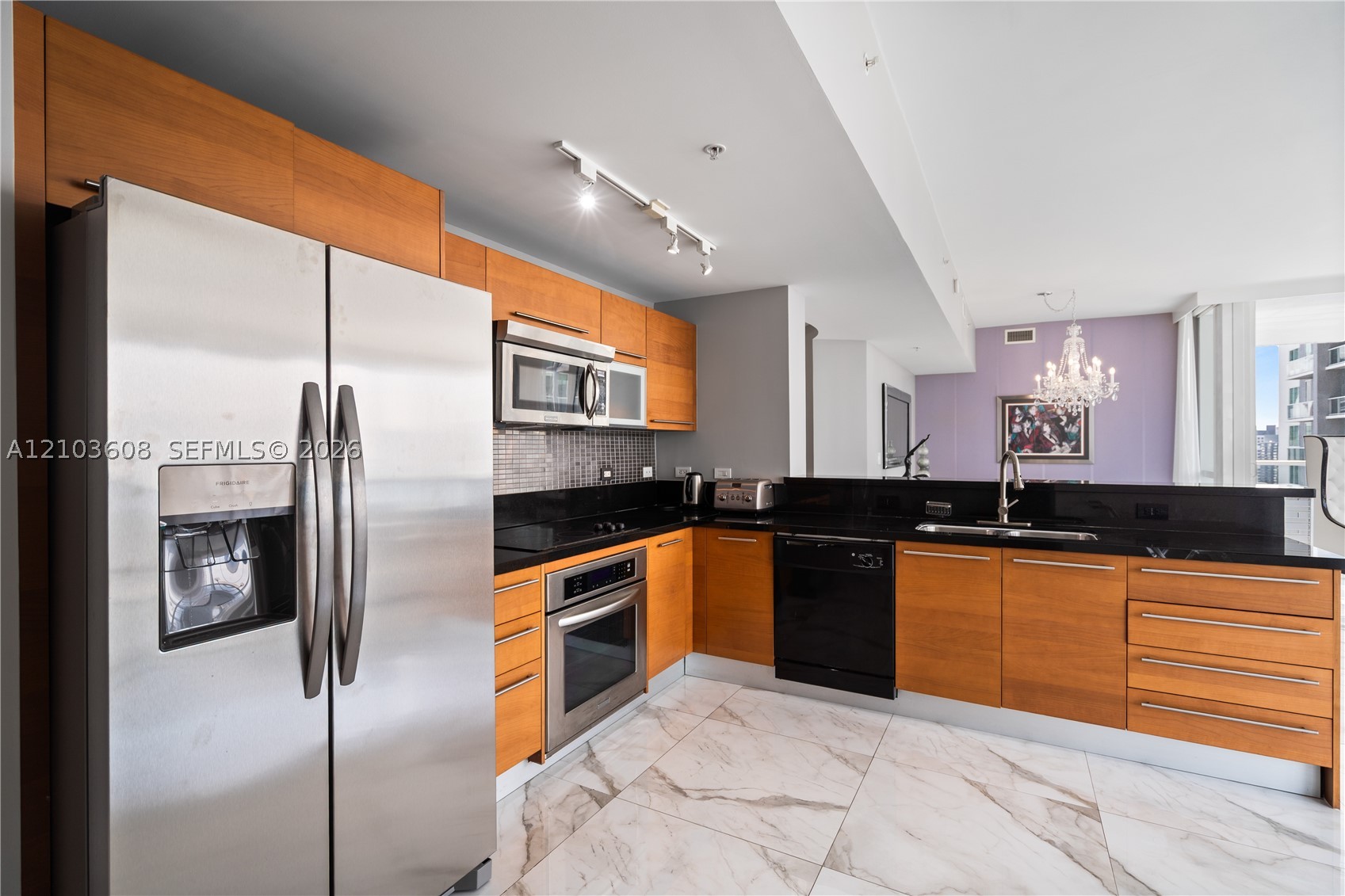 244 Biscayne Blvd #4308 Miami, FL 33132