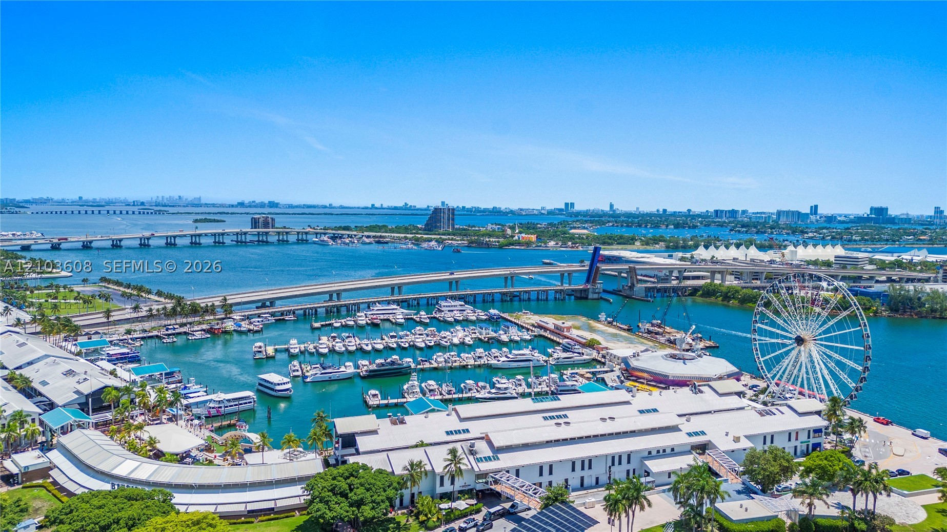 244 Biscayne Blvd #4308 Miami, FL 33132