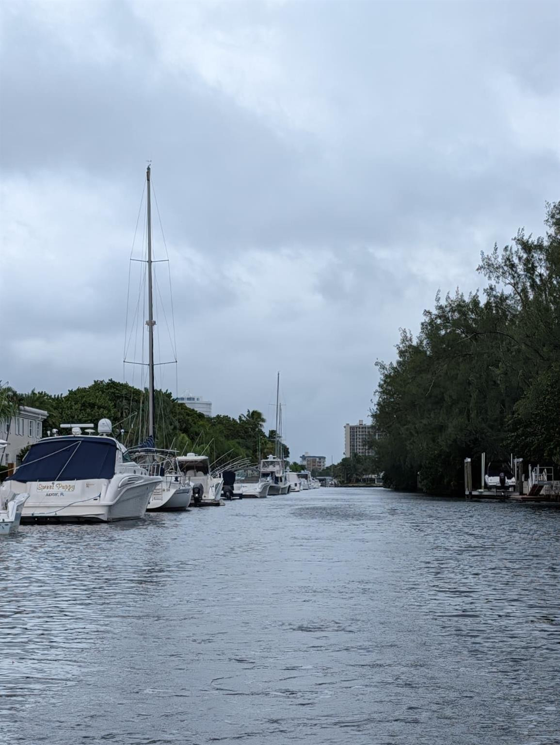 6307 Bay Clb Dr #2 Fort Lauderdale, FL 33308