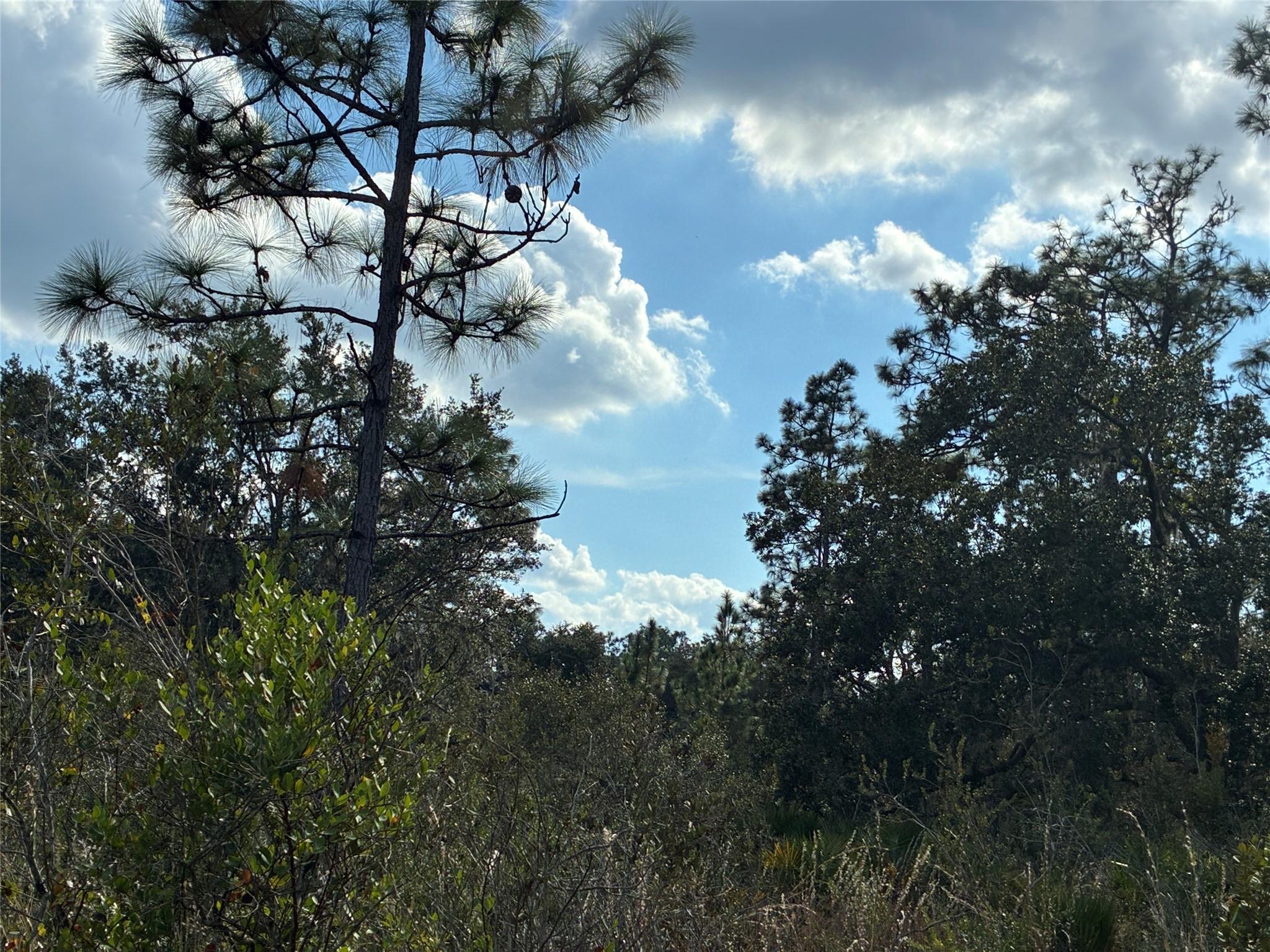 207 Plumosa Dr Indian Lake Estates, FL 33855