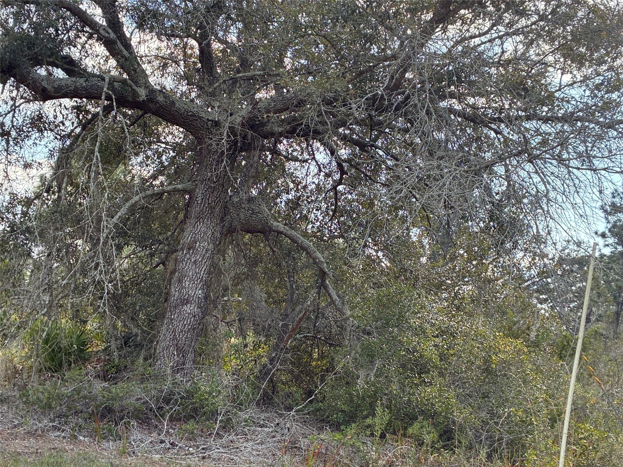 207 Plumosa Dr Indian Lake Estates, FL 33855