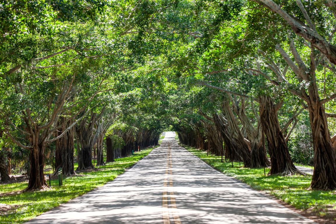 116 N Beach Jupiter Island, FL 33455