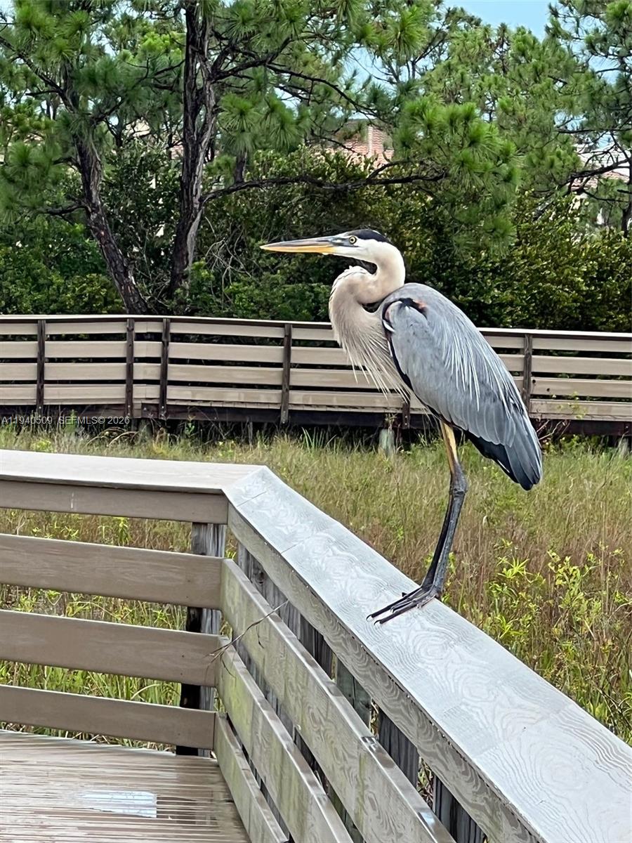 184 W Bay Cedar Cir Jupiter, FL 33458