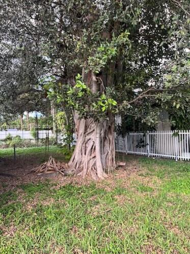 1129 NW 105th St Miami, FL 33150