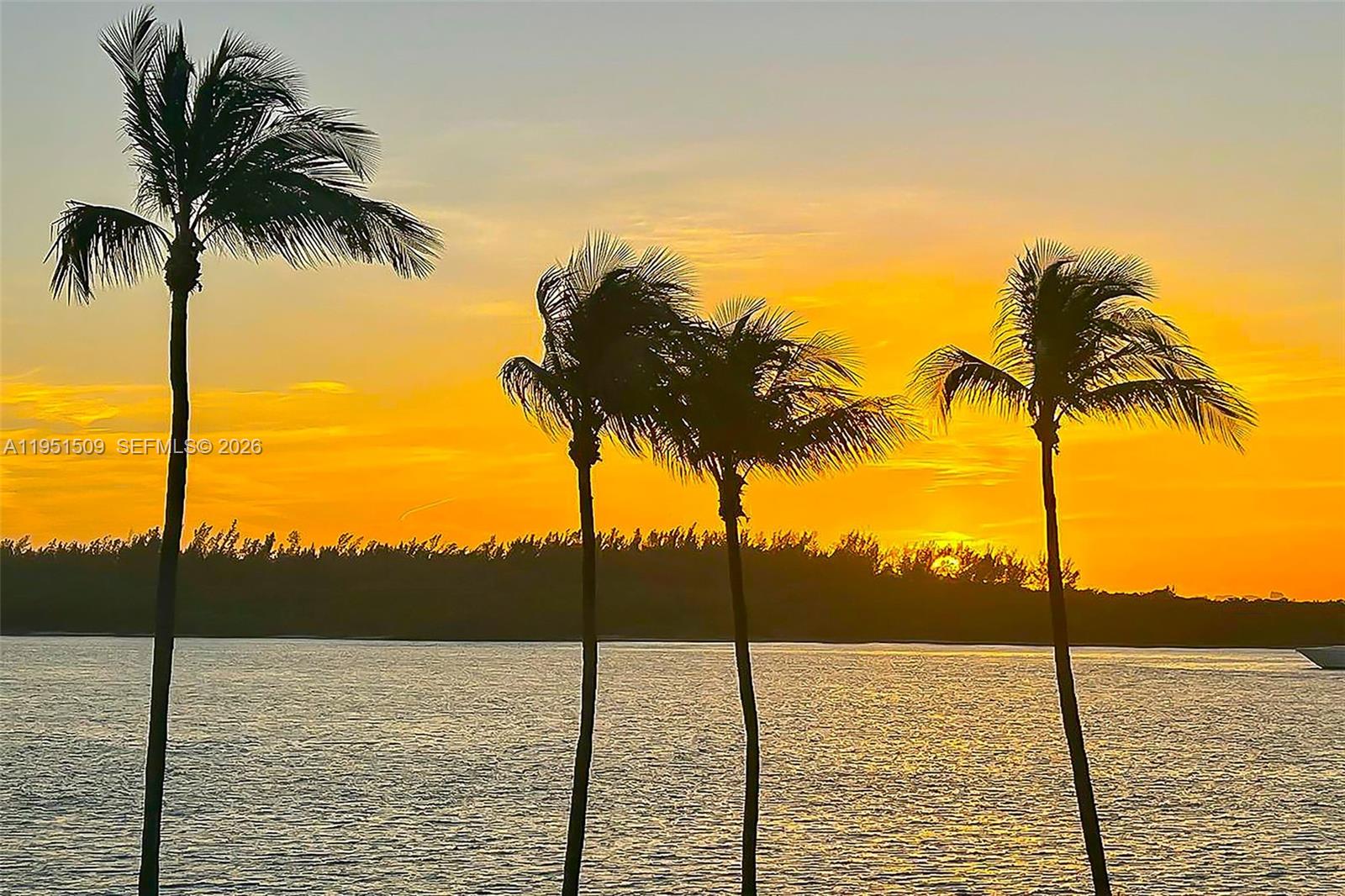 2225 Fisher Is Dr #3205 Miami Beach, FL 33109