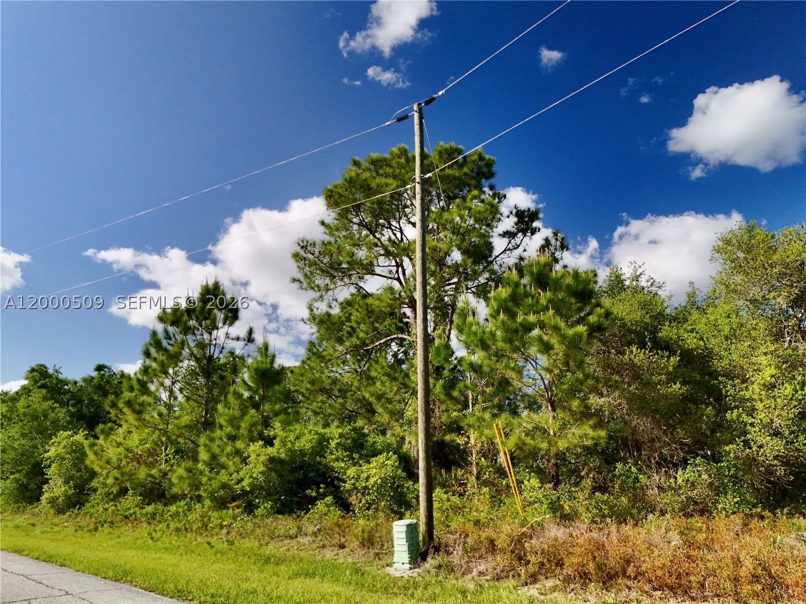 634 Mediterranean Other, FL 34759