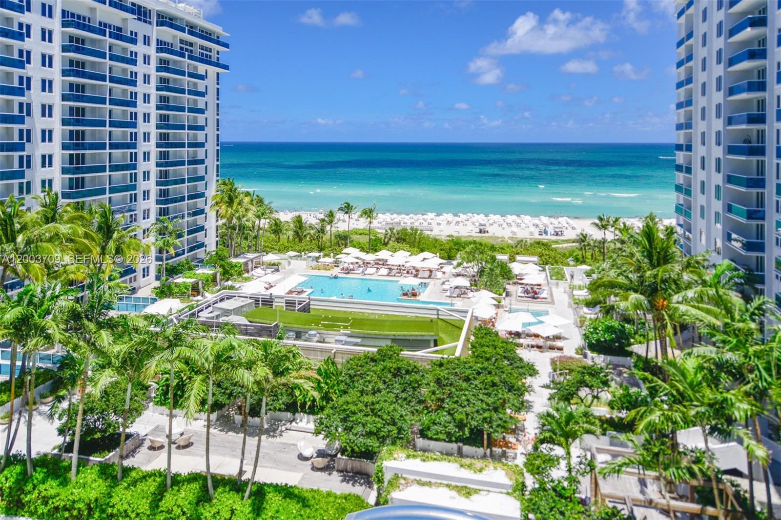 image Roney Palace24