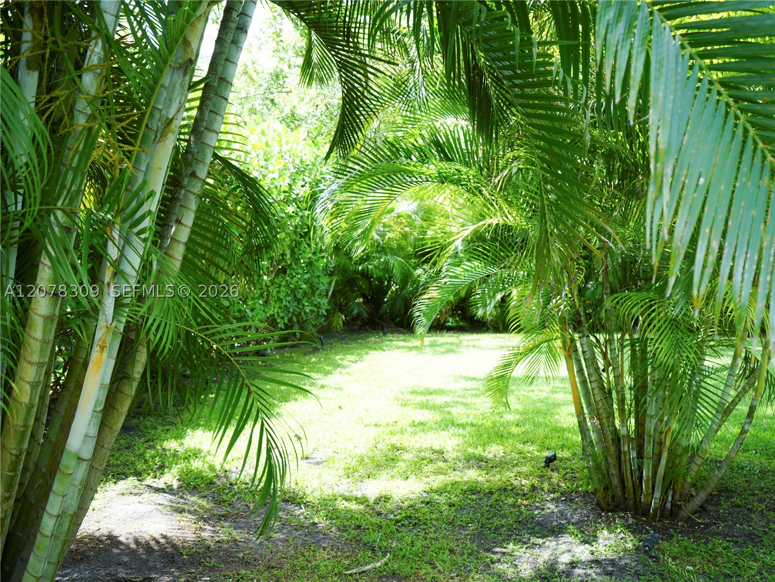 12015 NE 10th Ave Biscayne Park, FL 33161