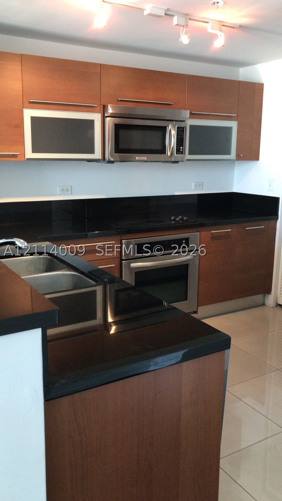 244 Biscayne Blvd #1404