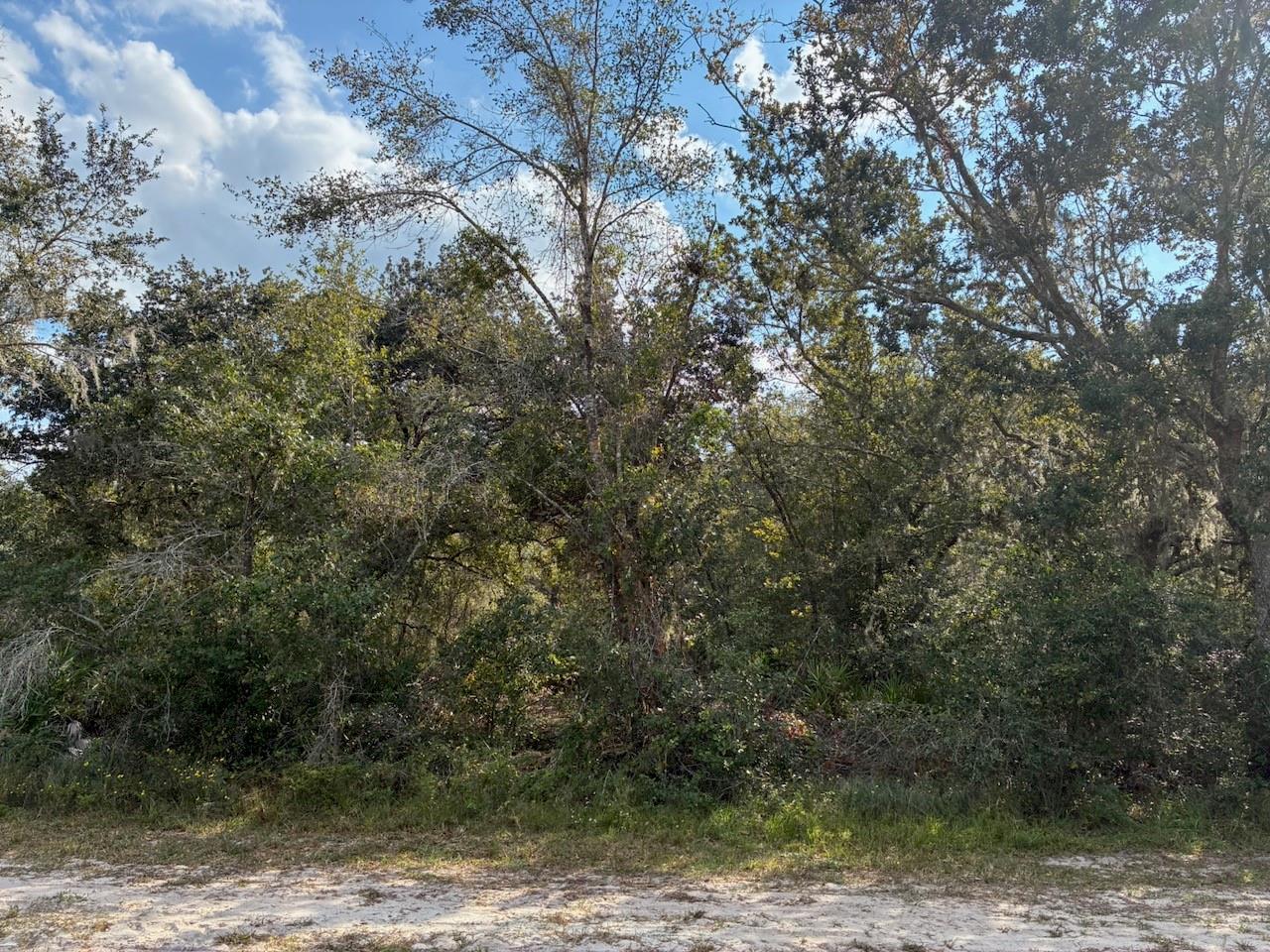 Lot 14, Block 75 Park Ave Indian Lake Estates, FL 33855