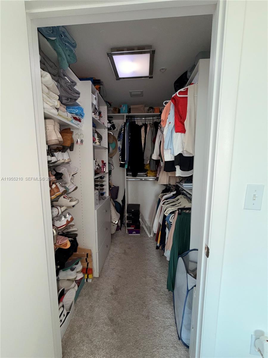 image Vizcayne South11