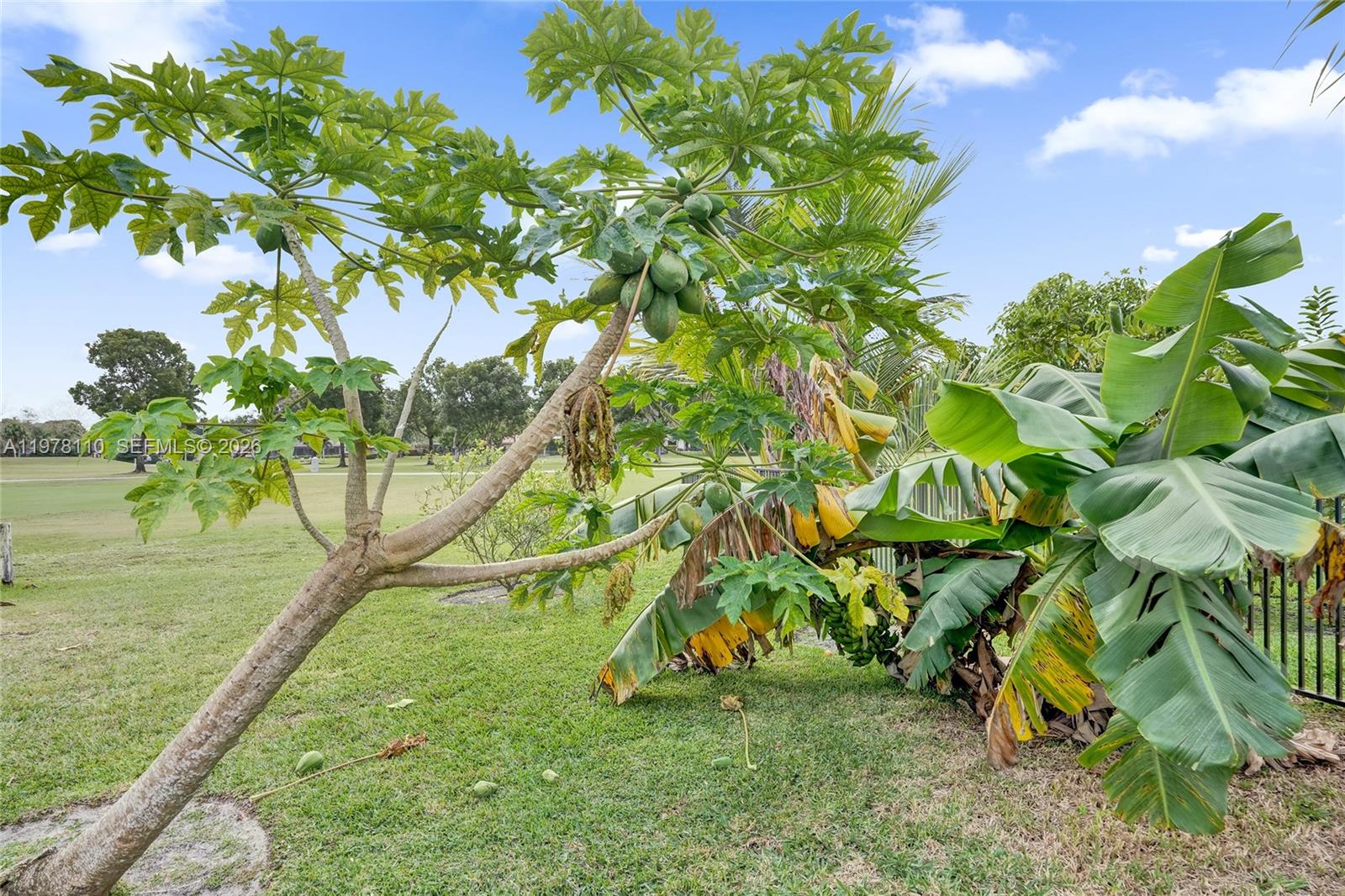 11181 NW 26th Dr Coral Springs, FL 33065