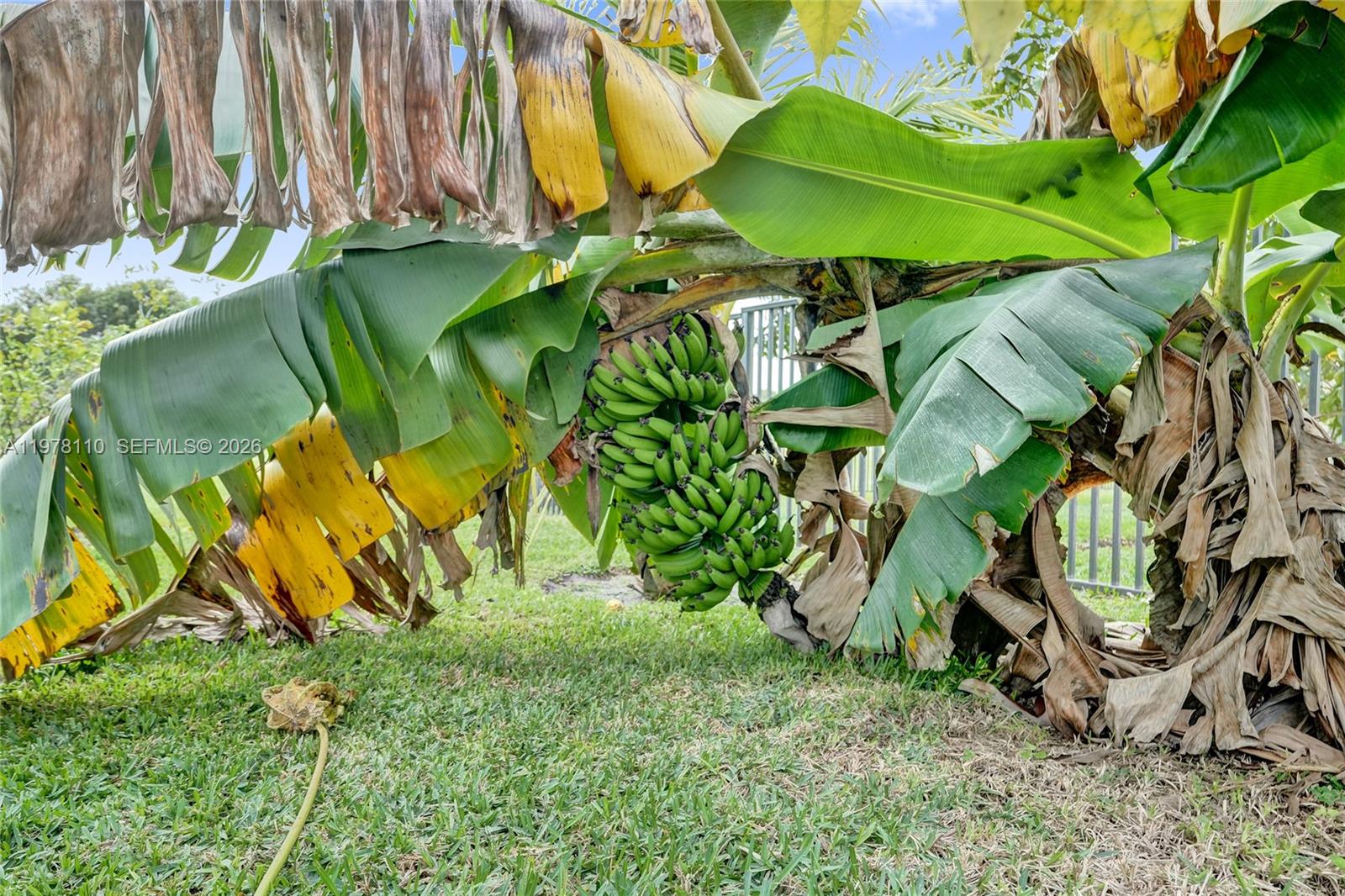 11181 NW 26th Dr Coral Springs, FL 33065