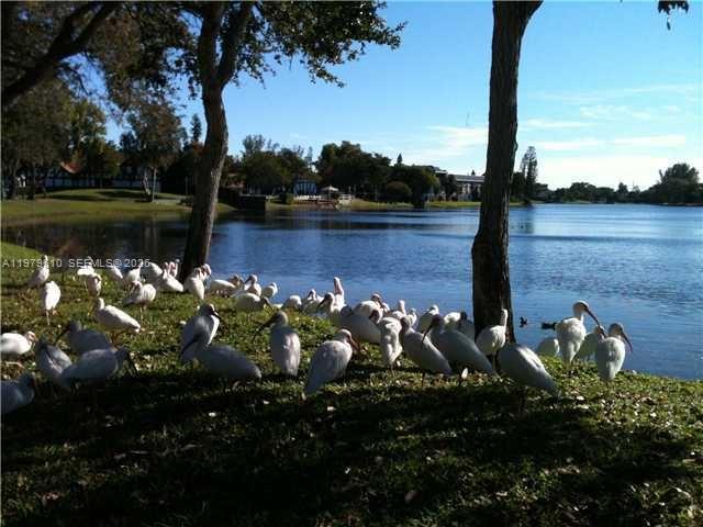 Undisclosed Address Lauderhill, FL 33319